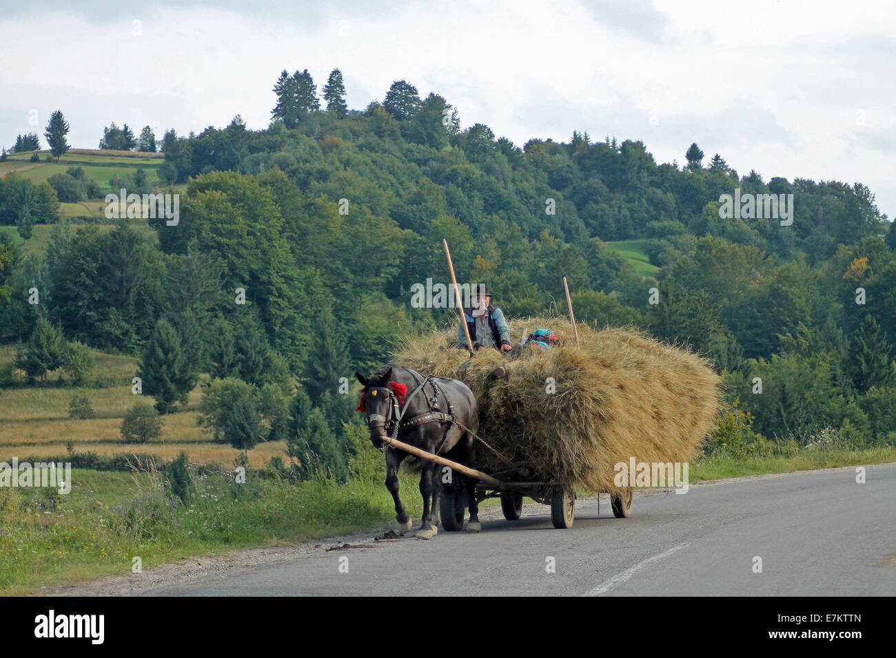 Bauer drehen nach Hause nach der Heuernte Stockfoto