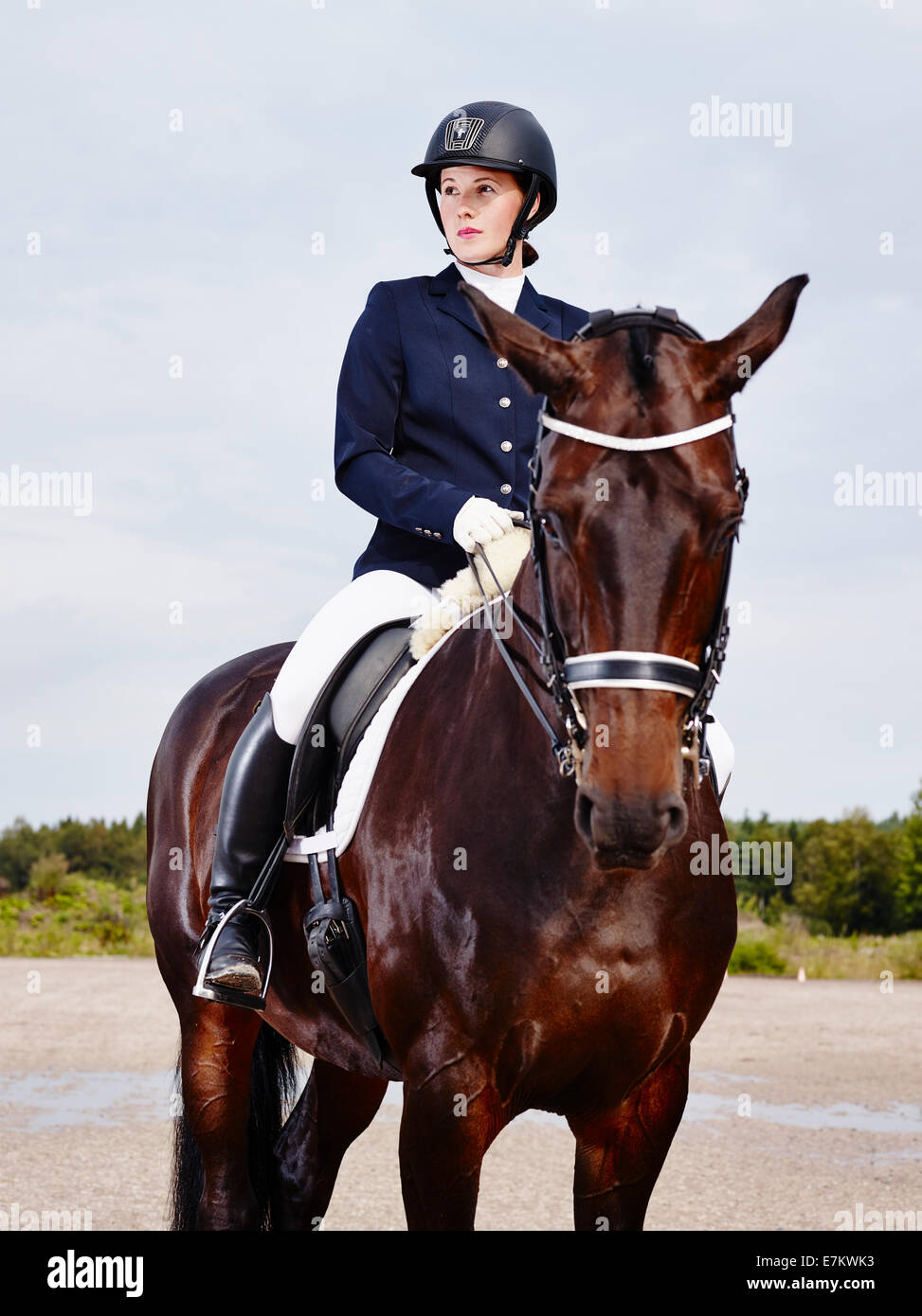 Braune Pferd und schöne Frau mit Pferd-Reiten-Bekleidung Stockfoto