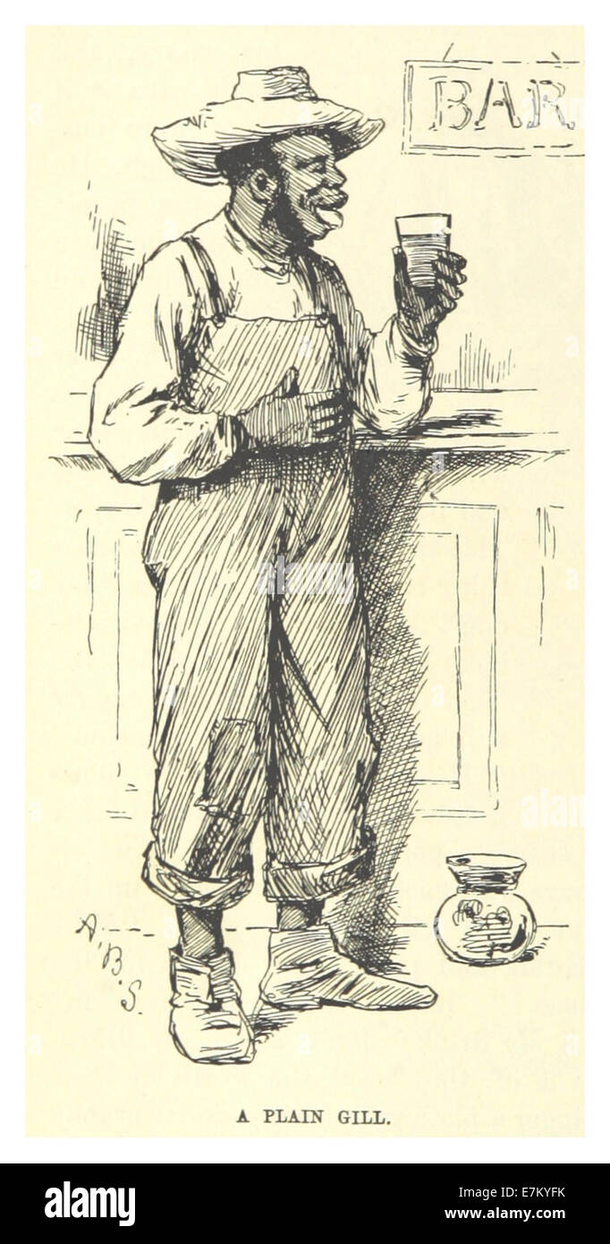 MARK TWAIN(1883) p377 - A PLAIN GILL Stockfoto