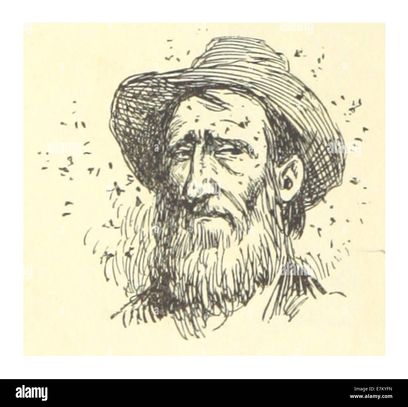 Diese Illustration aus Mark Twains Schriften aus dem Jahr 1883 zeigt humorvoll Mücken und spiegelt Twains scharfen Witz und Kommentare zur menschlichen Natur wider. Stockfoto