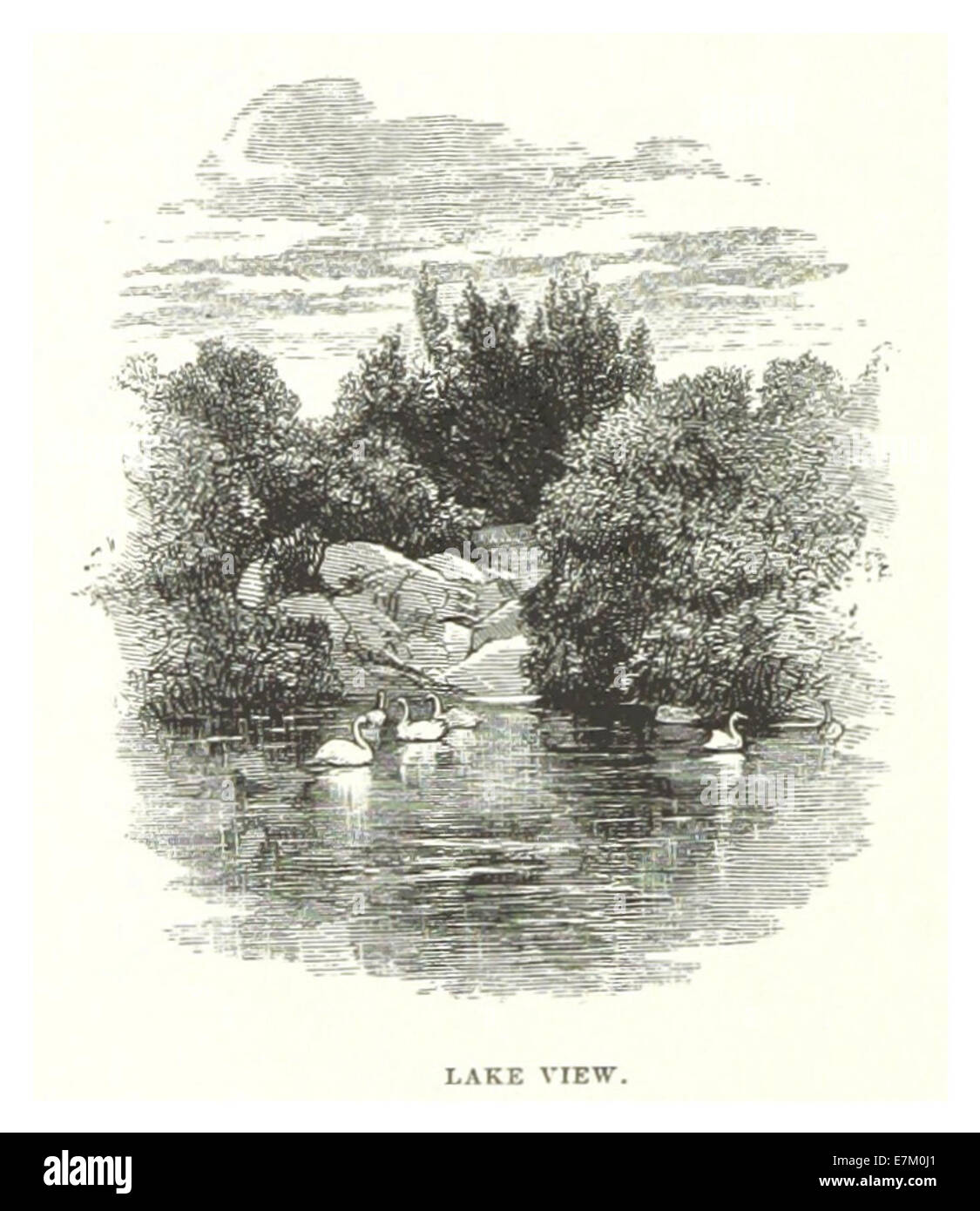 Eine Skizze von 1869 über den Lake View im Central Park, New York City. Die Zeichnung bietet einen detaillierten Blick auf die Landschaft des ikonischen Parks und veranschaulicht seine ruhige Umgebung und natürliche Schönheit Mitte des 19. Jahrhunderts. Stockfoto