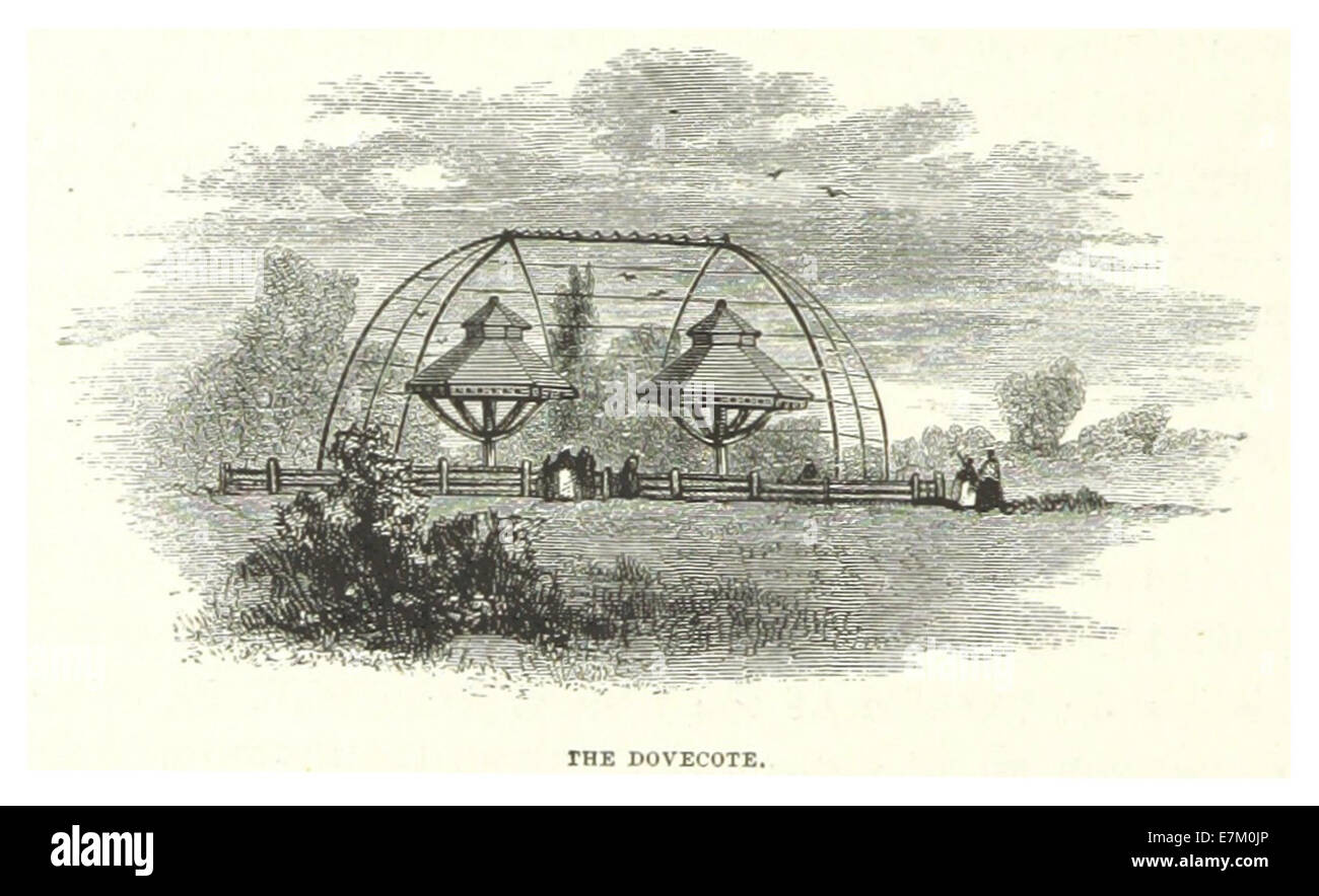 Diese Skizze des Central Park in New York City von einem unbekannten Künstler aus dem Jahr 1869 zeigt den Dovecote, ein bemerkenswertes architektonisches Merkmal innerhalb des Parks. Die Illustration zeigt sein Design und seinen Platz in der Landschaft des Parks während des 19. Jahrhunderts. Stockfoto