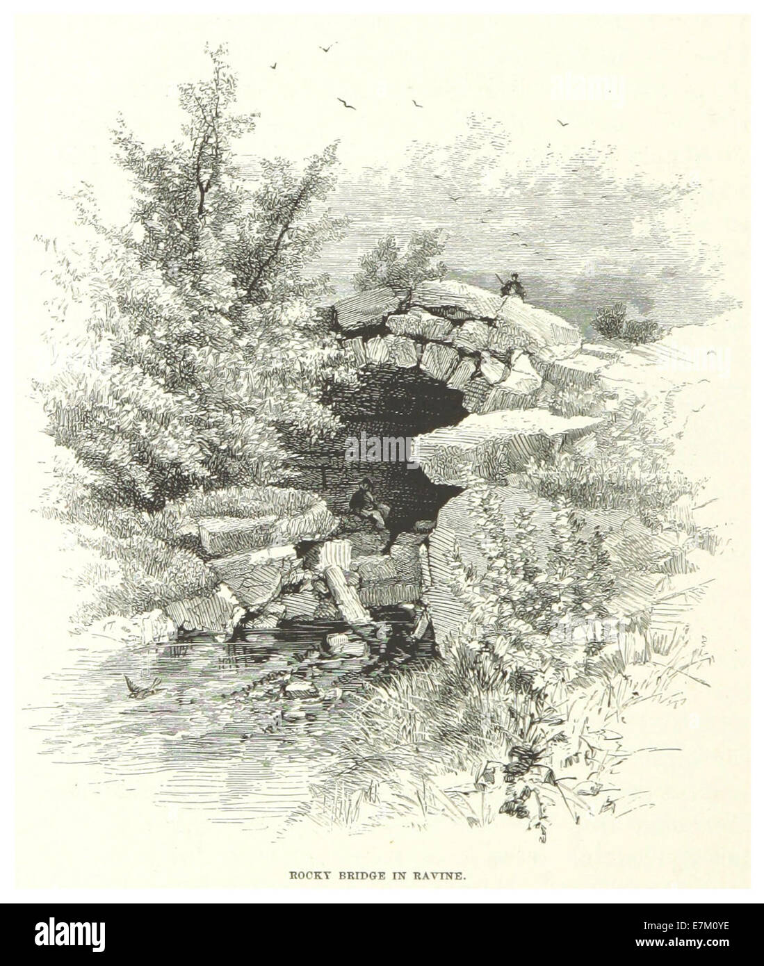 NYC-CentralPark (1869) p190 Rocky Brücke in Schlucht Stockfoto