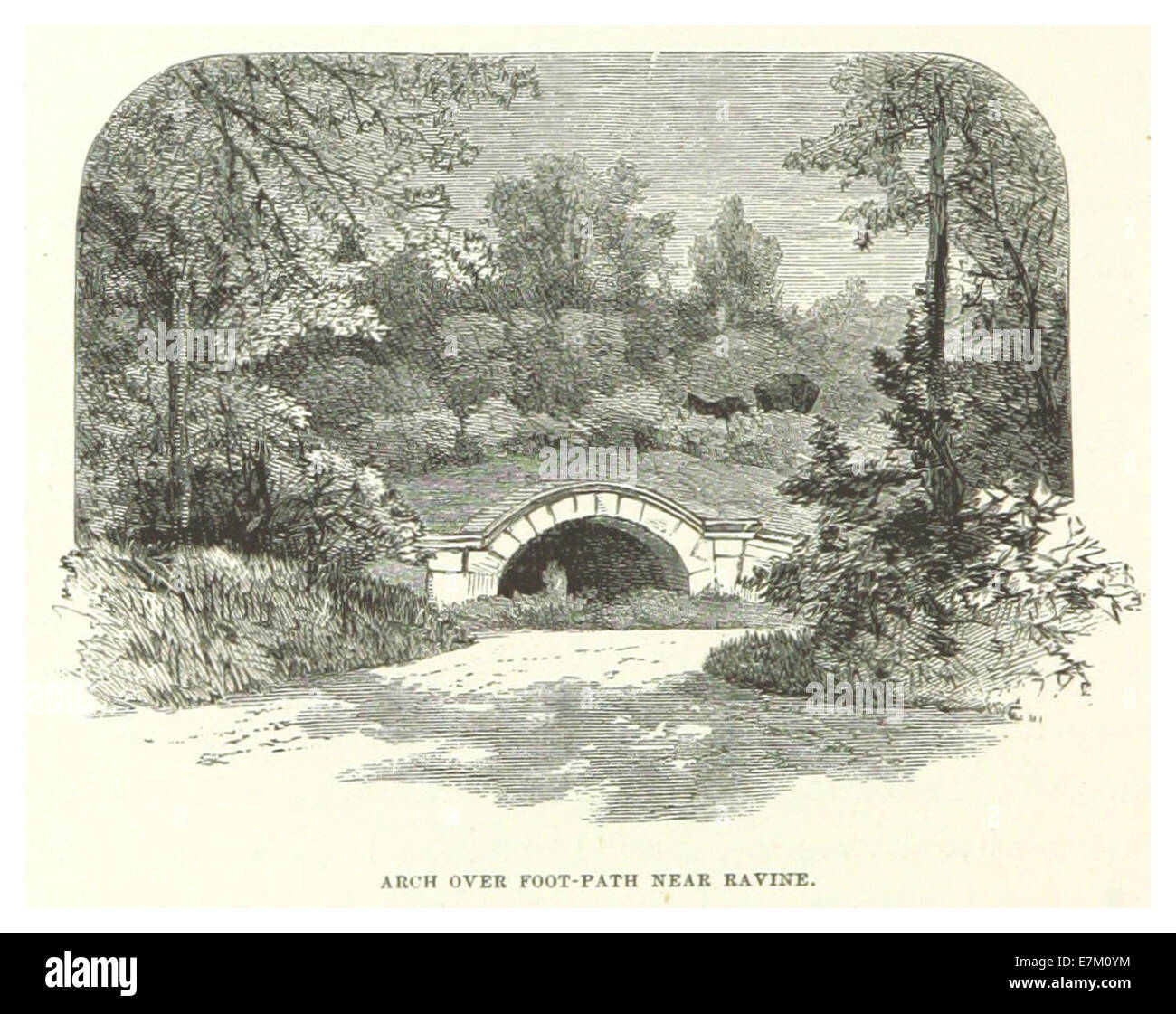 NYC-CentralPark (1869) p196 Bogen über Fußweg in der Nähe von Schlucht Stockfoto