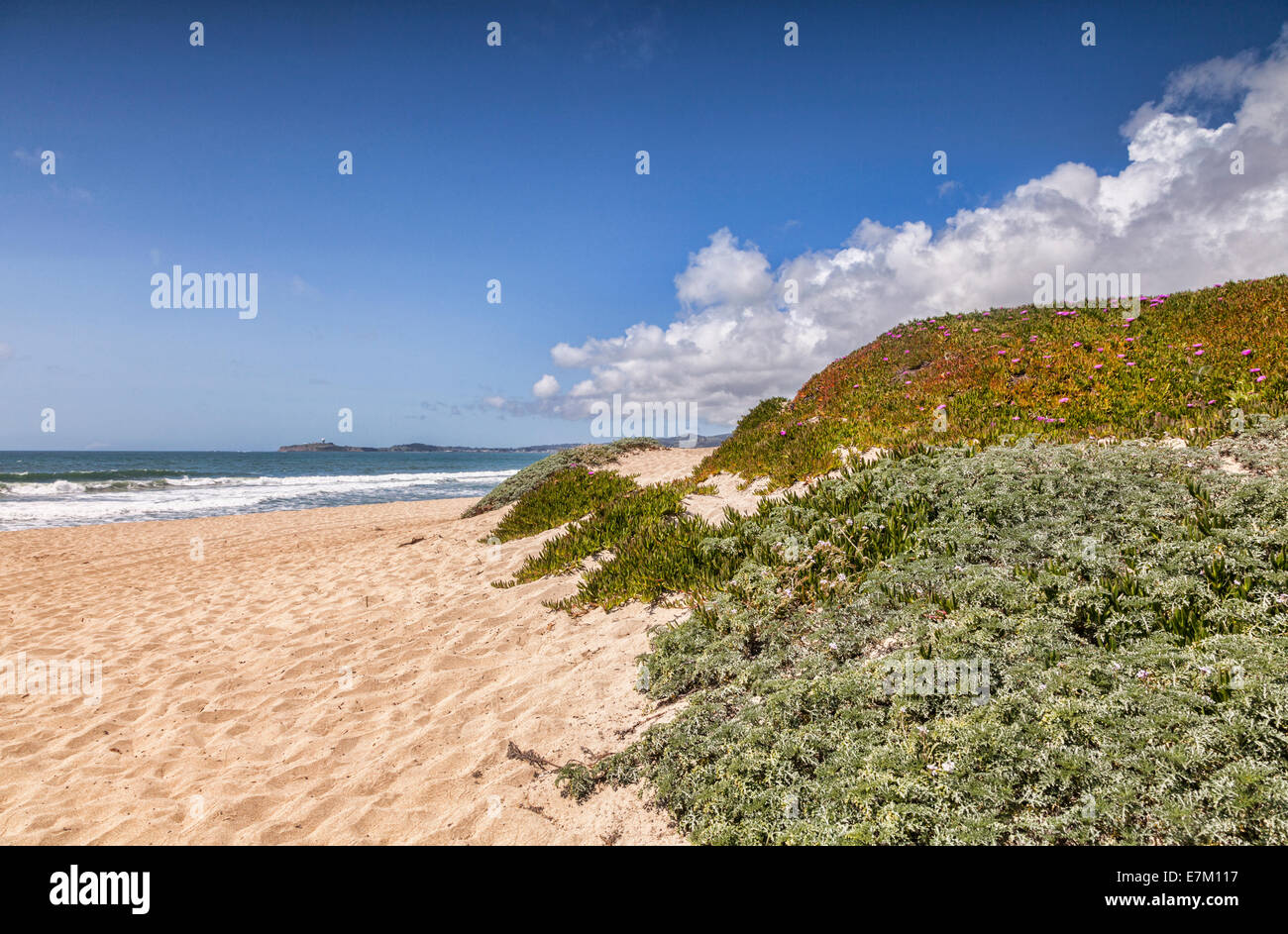 Half Moon Bay State Beach, San Mateo County, California, USA Stockfoto