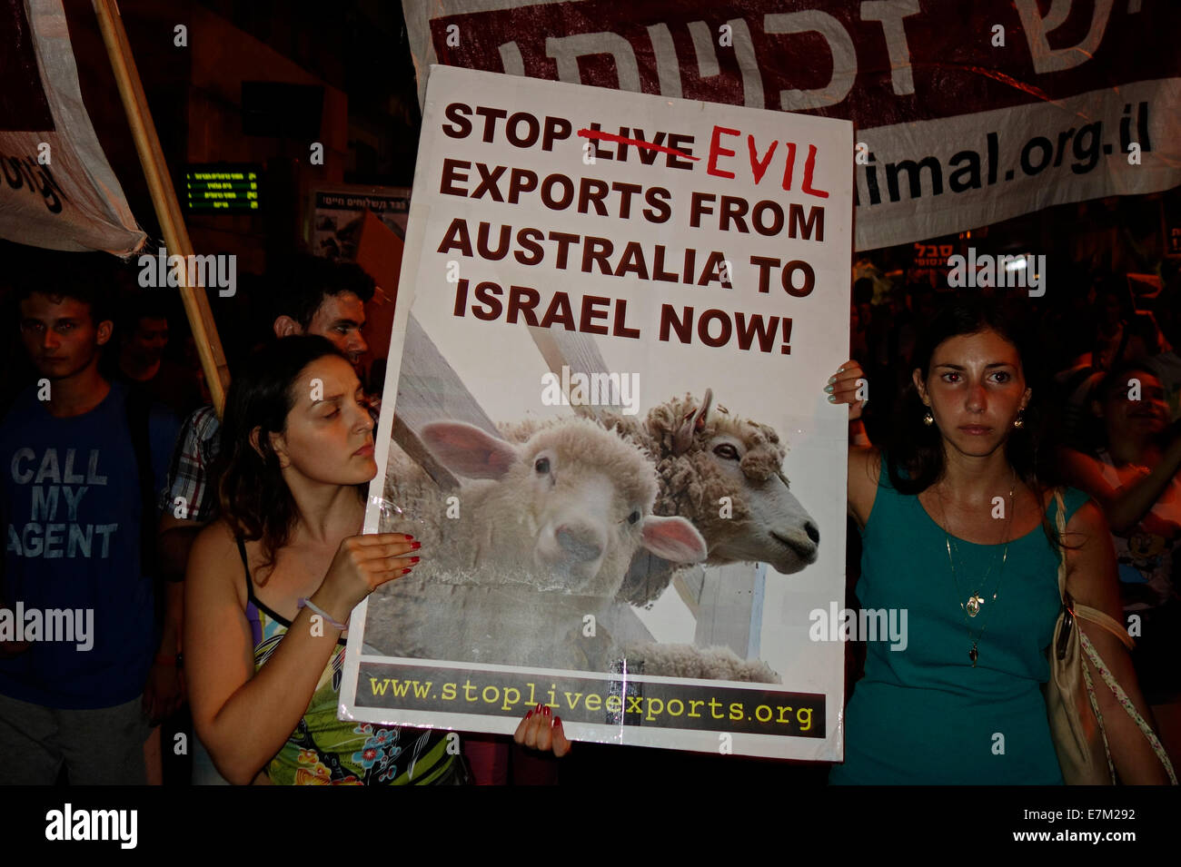 Ein Demonstrator hält ein Plakat mit der Aufschrift „Stoppt die bösen Exporte von Australien nach Israel“ während einer Demonstration für Tierrechte in Tel Aviv, Israel, am 20. September 2014. Demonstranten halten Schilder hoch, die Tiertransporte nach Israel für Schlachtung und Tierversuche anprangern. Stockfoto