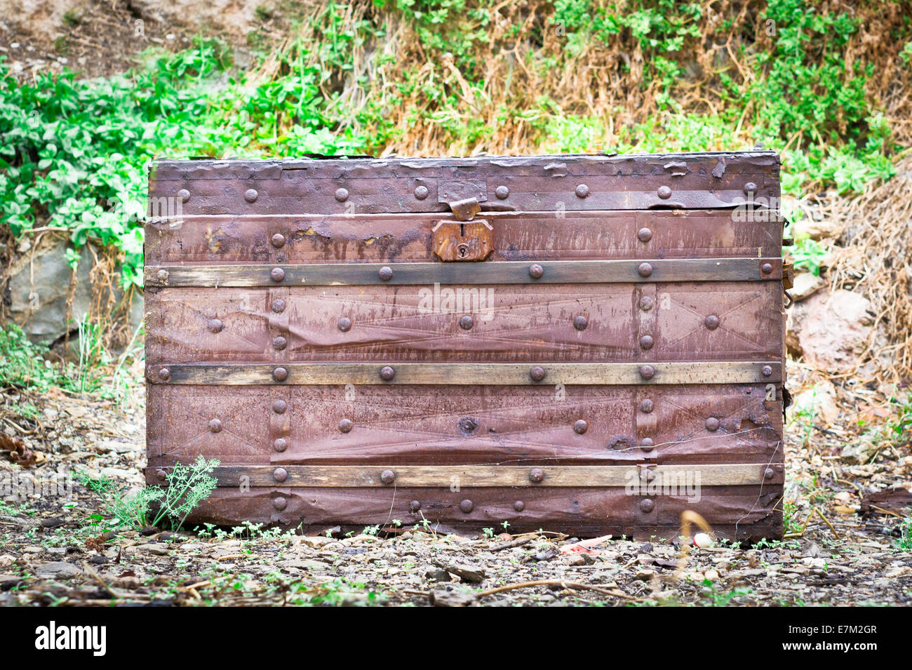 Eine Antike Holzkiste In Einem Garten Stockfoto Bild 73585143