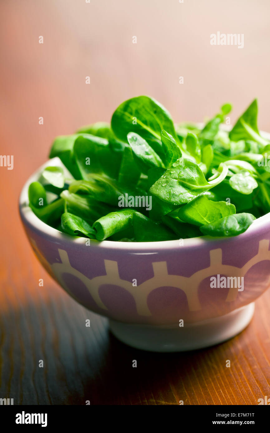 Feldsalat, Feldsalat in Keramikschale Stockfoto