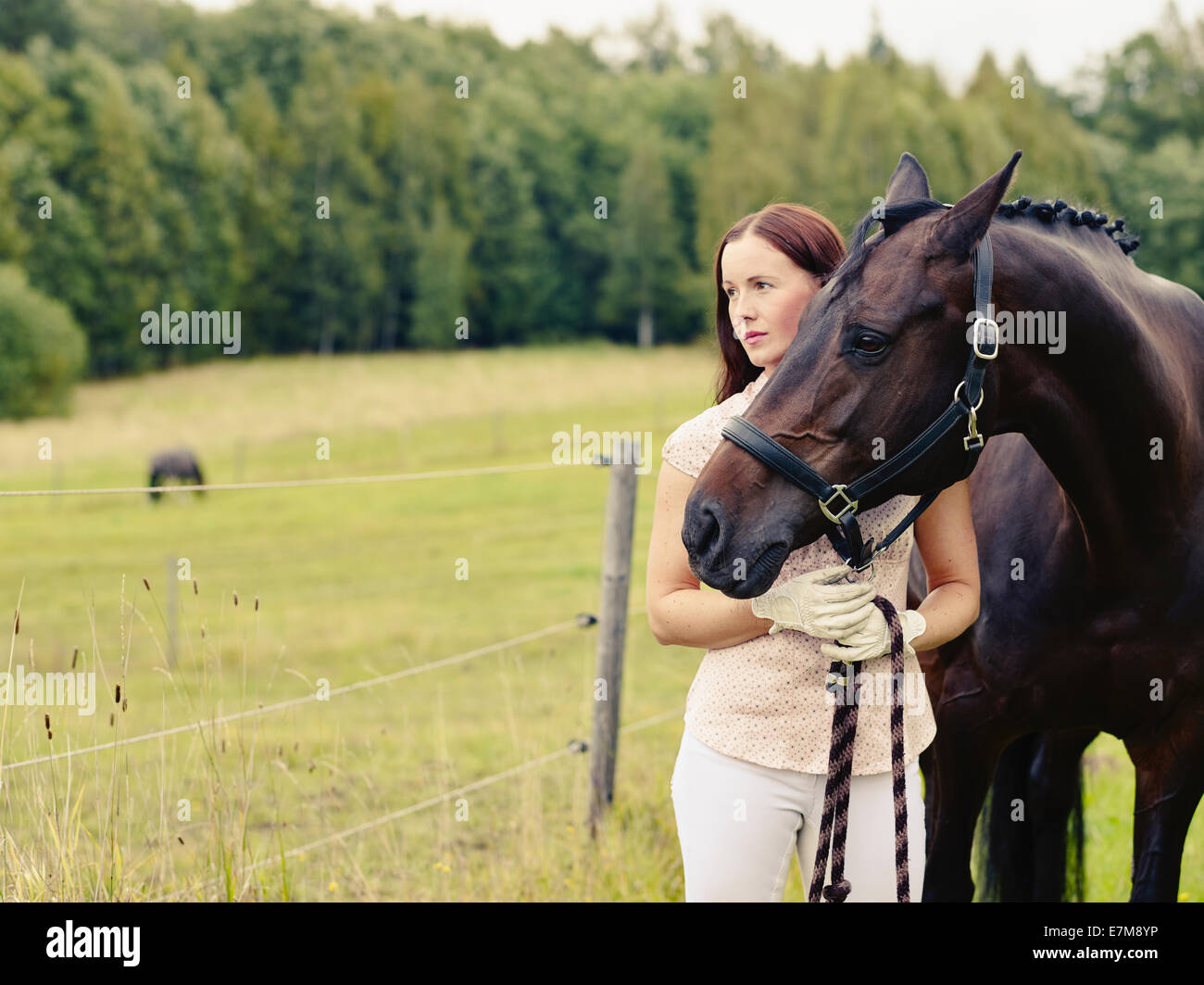 Attraktive Frau und Pferd im Feld überqueren bearbeitetes Bild Stockfoto
