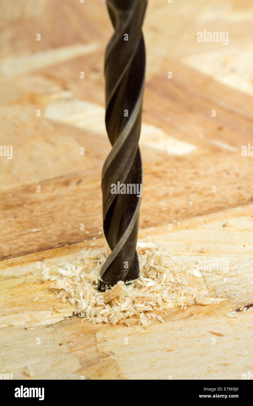 Nahaufnahme der Schlangenbohrer Bohren Holz - Fokus auf Holz Stockfoto