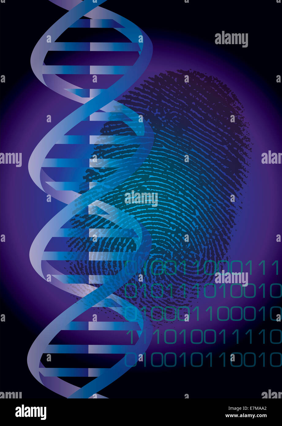 DNA, Fingerabdruck und Binärcode – genetische Identität und Biometrie. Digitale Illustration, die genetische Identität, Biometrie und Cybersicherheit symbolisiert Stockfoto