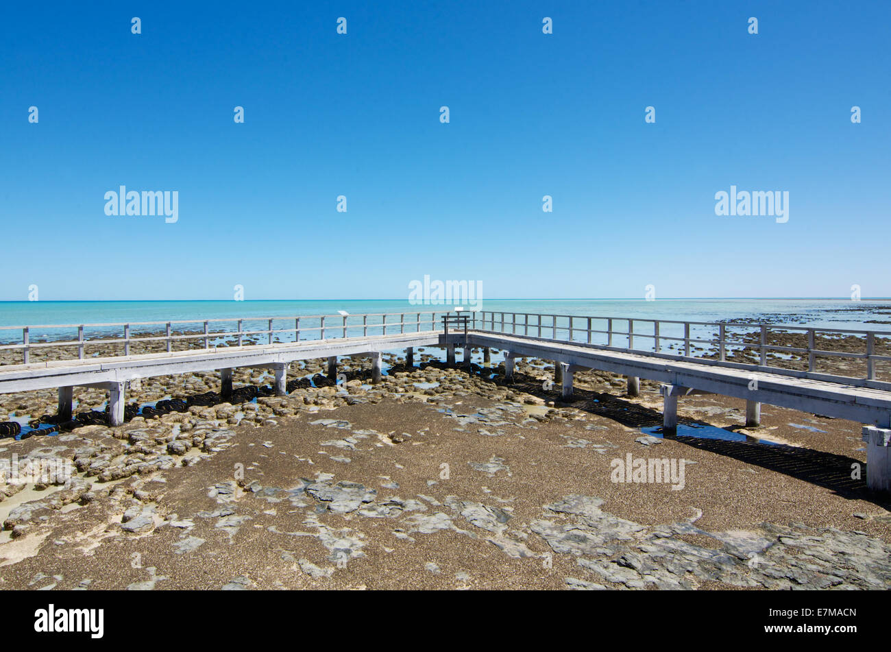 Die Aussichtsplattformen für die Stromatolithen in Shark Bay in Western Australia. Stockfoto