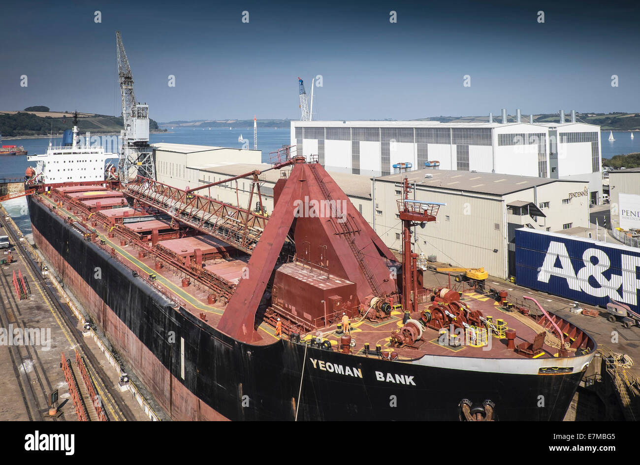 Die Yeoman Bank, ein selbst entladen Massengutfrachter im Trockendock Falmouth Nr. 2. Stockfoto