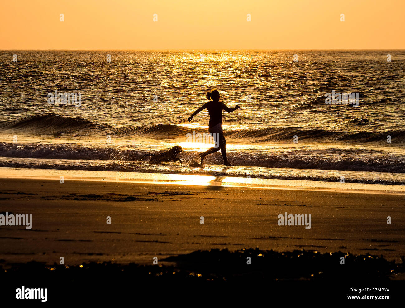 Eine Frau und ihr Hund läuft in das Meer bei Sennen Cove in Cornwall. Stockfoto