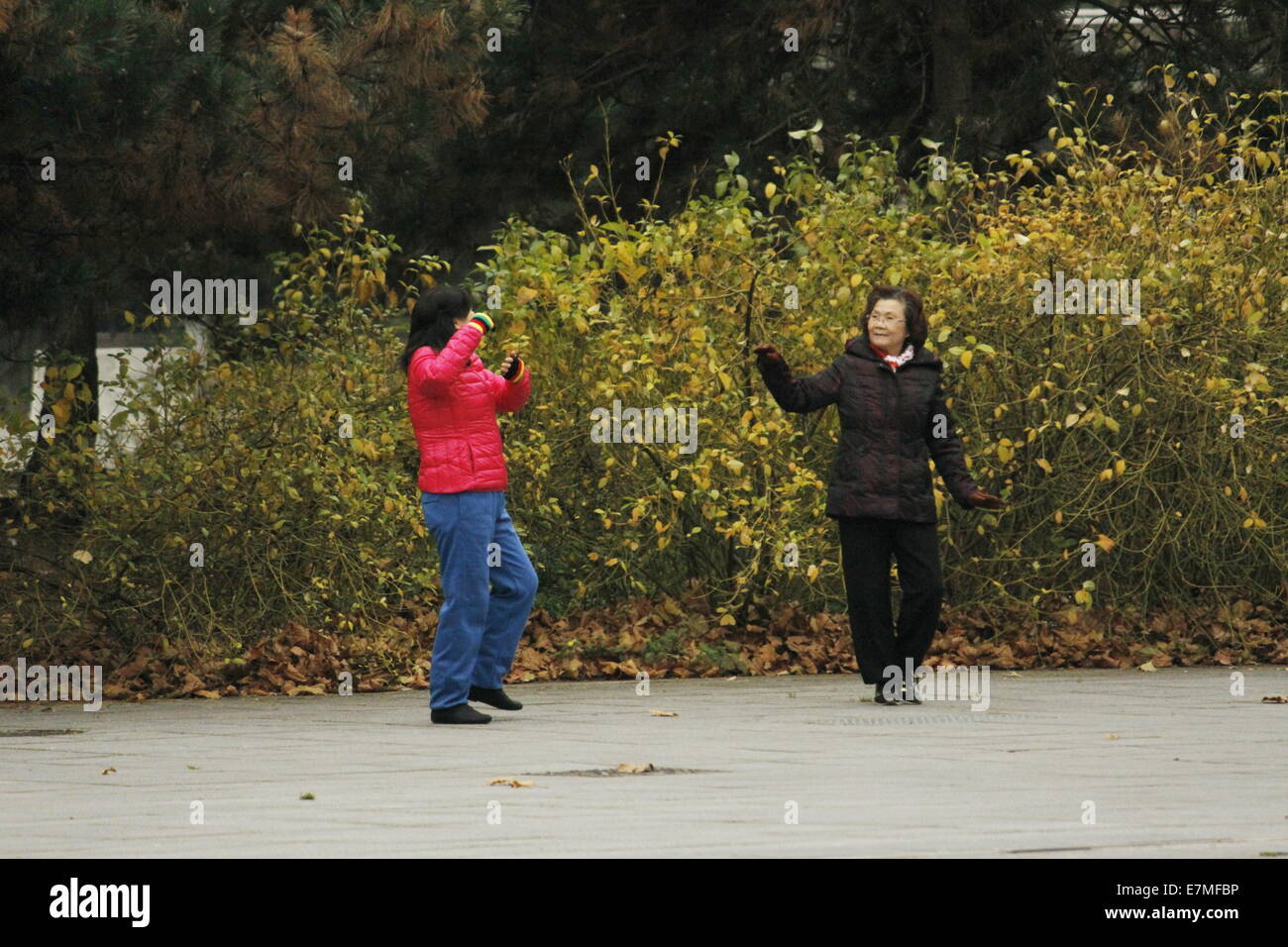 Chinesen machen Tai Chi am Parc De La Villette, Cité des Sciences et de l ' Industrie, Paris, Frankreich. Stockfoto