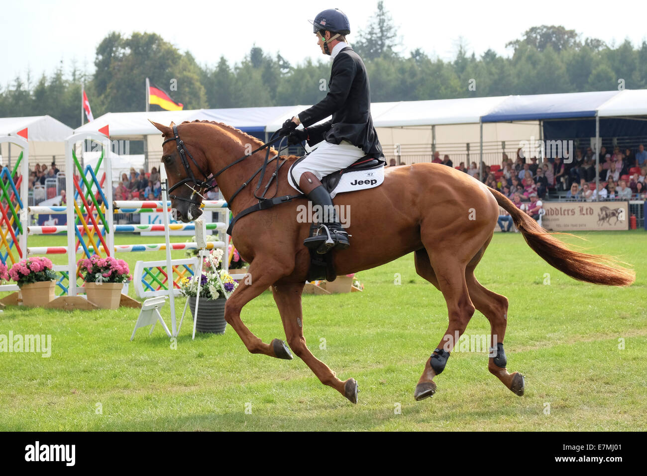 William Fox-Pitt Springreiten Event im Blenheim Palace Stockfoto