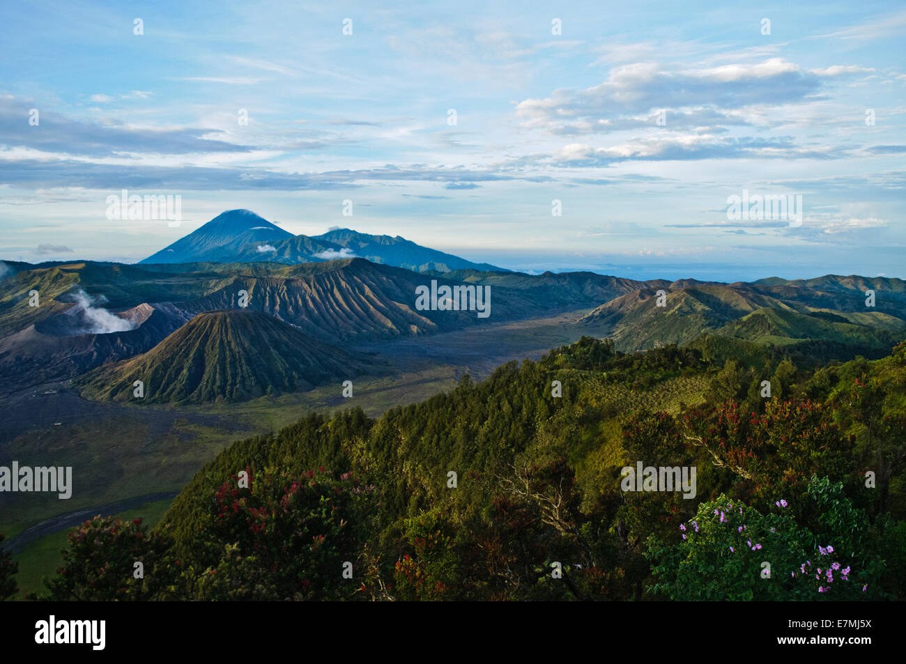 Blick auf Mt. Bromo in Ost-Java, Indonesien Stockfoto