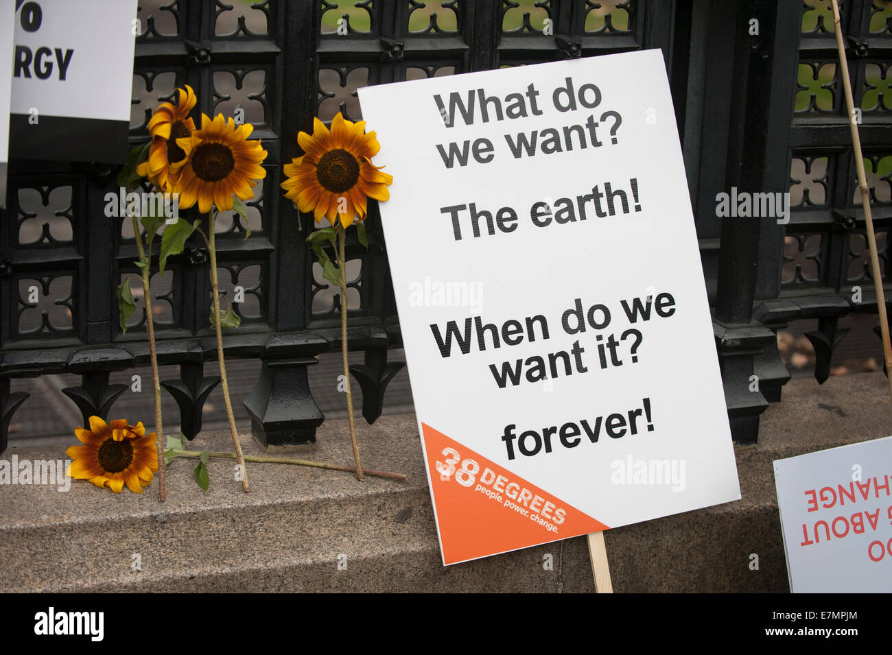Eine Plakette, die sagt: "Was wollen wir? Der Erde! Wann machen wir es? Für immer!" lehnt sich an das Geländer, vor den Häusern des Parlaments mit vier Sonnenblumen während der Klimawandel Demonstration, London, 21. September 2014. © Sue Cunningham Stockfoto