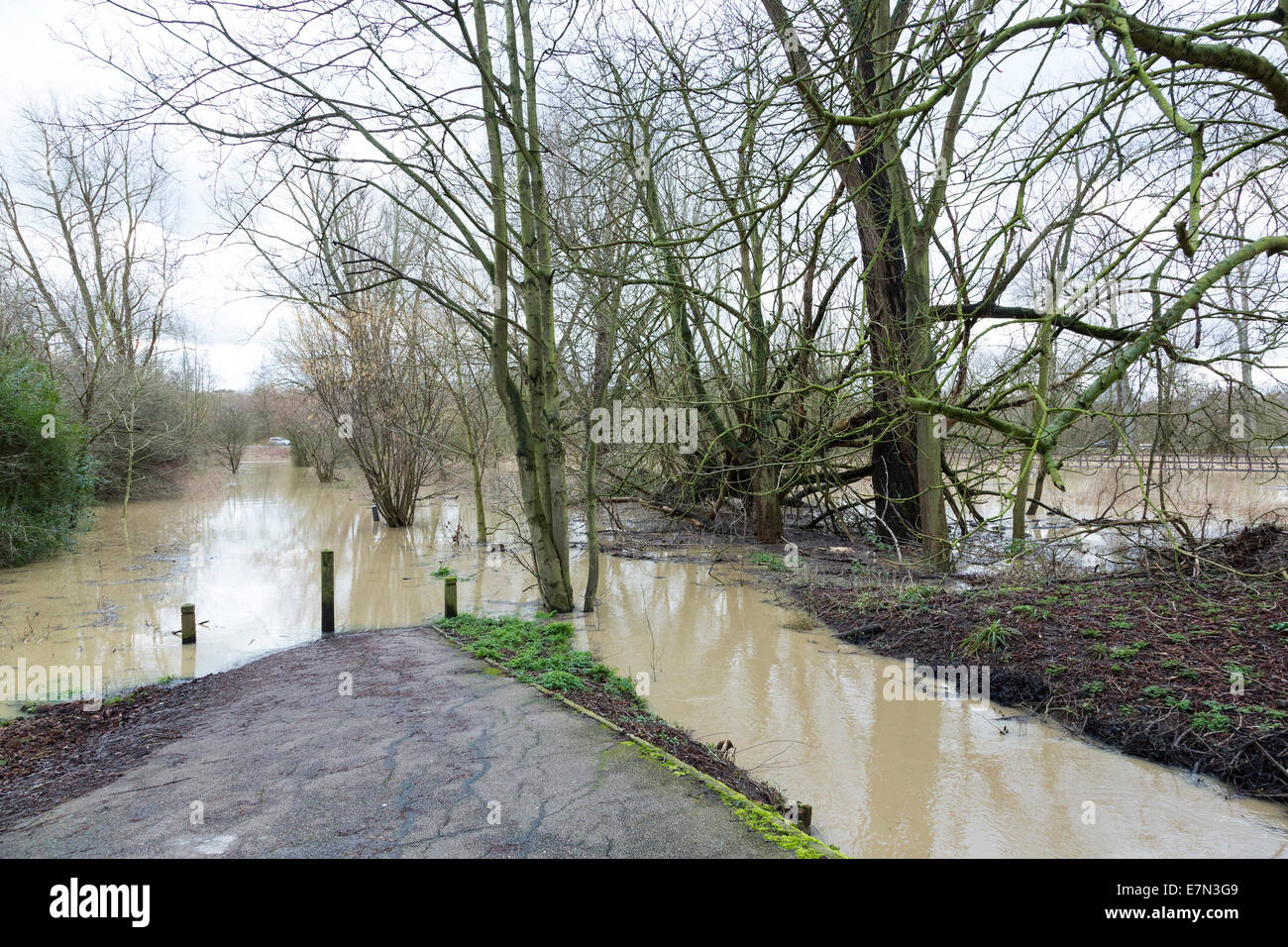 überschwemmtes Gebiet in UK Stockfoto