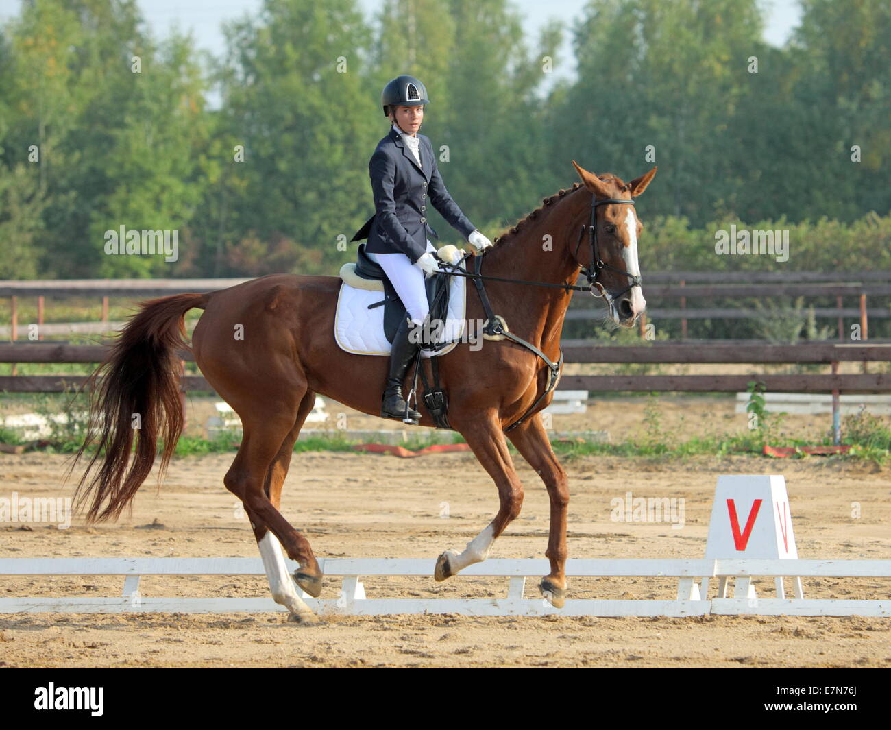 Frau in Abendkleidung, während eine Dressurprüfung auf Hannoveraner Pferd Reiten, Galopp Stockfoto