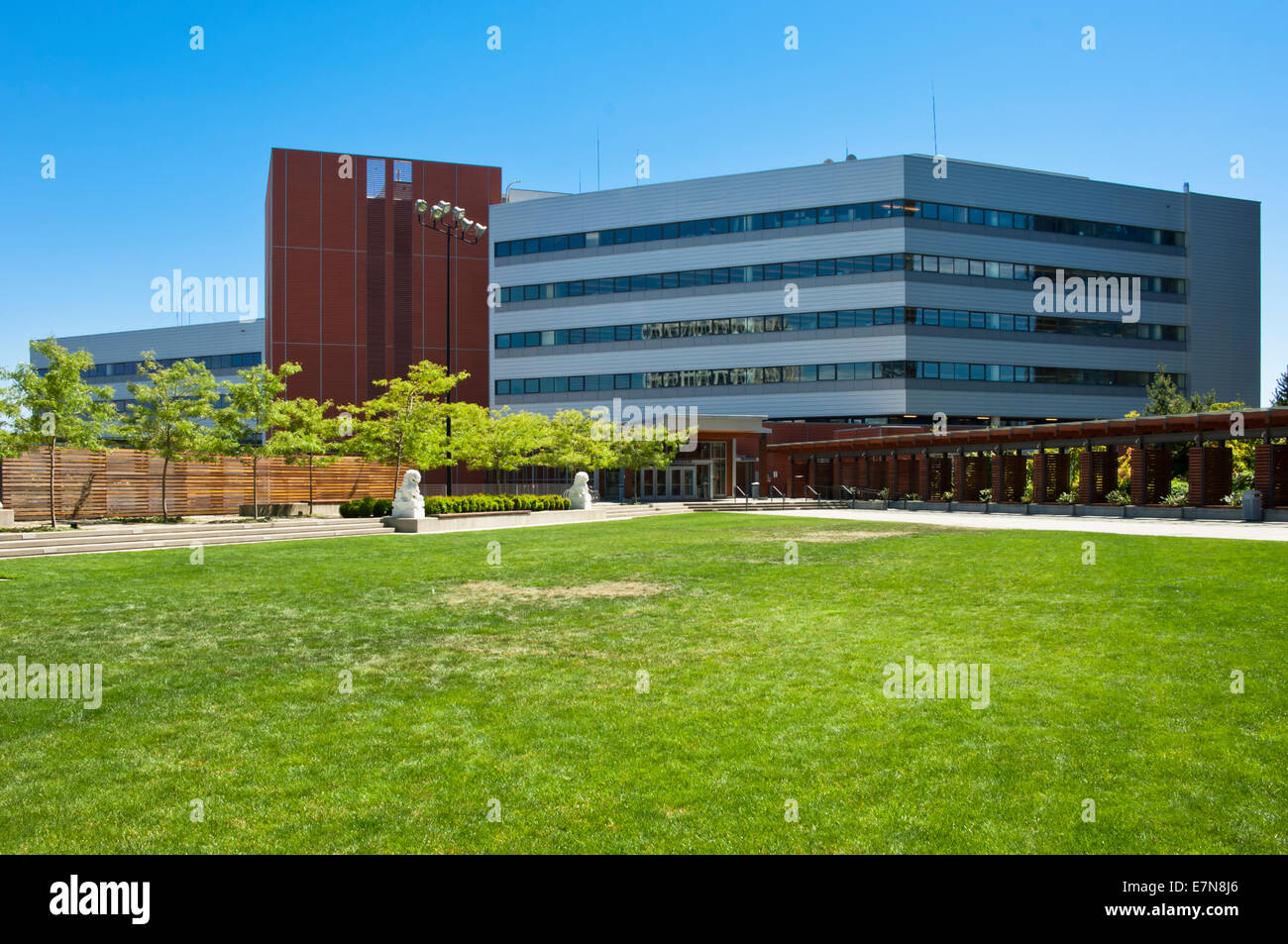 Rathaus in Bellevue, Washington, USA Stockfoto