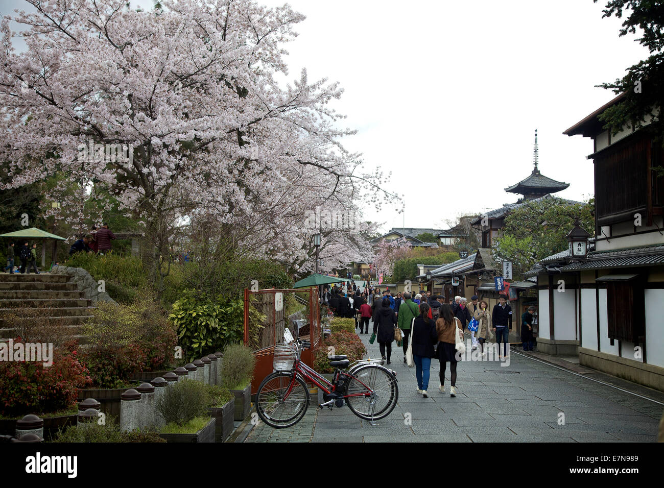 Menschen, Menschenmenge, Touristen einkaufen und zu Fuß während der Kirschblüte in Gion Bereich, Kyoto, Japan, Asien Stockfoto