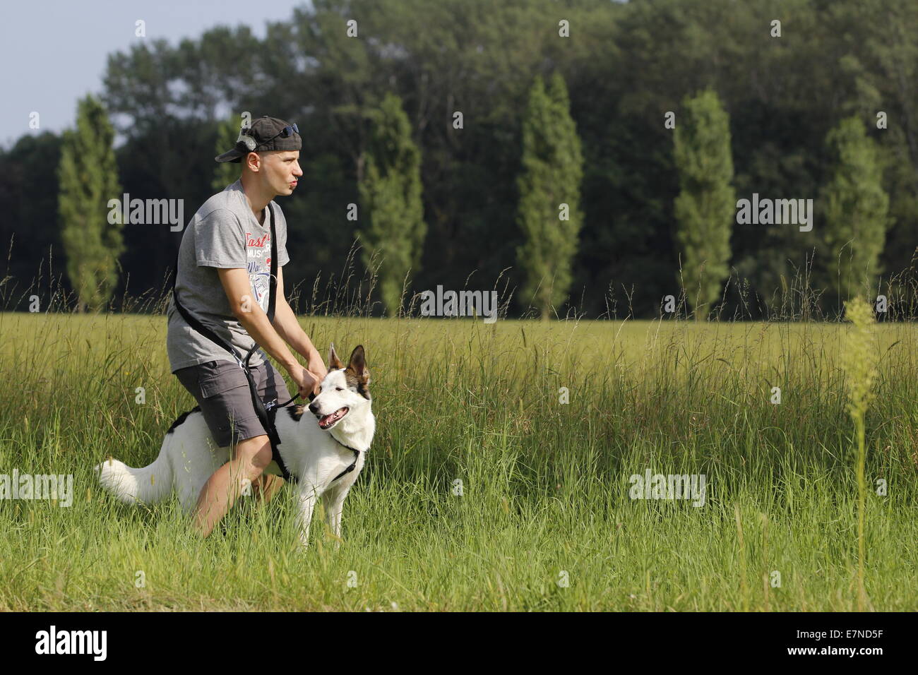 Junge mit seinem weißen Hund im Sommer im Park Stockfoto