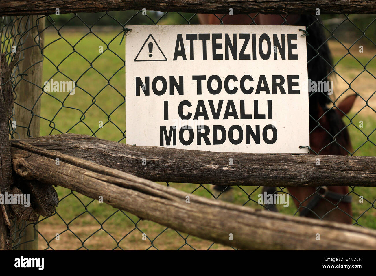 Zäune mit Pferden in Italien Stockfoto