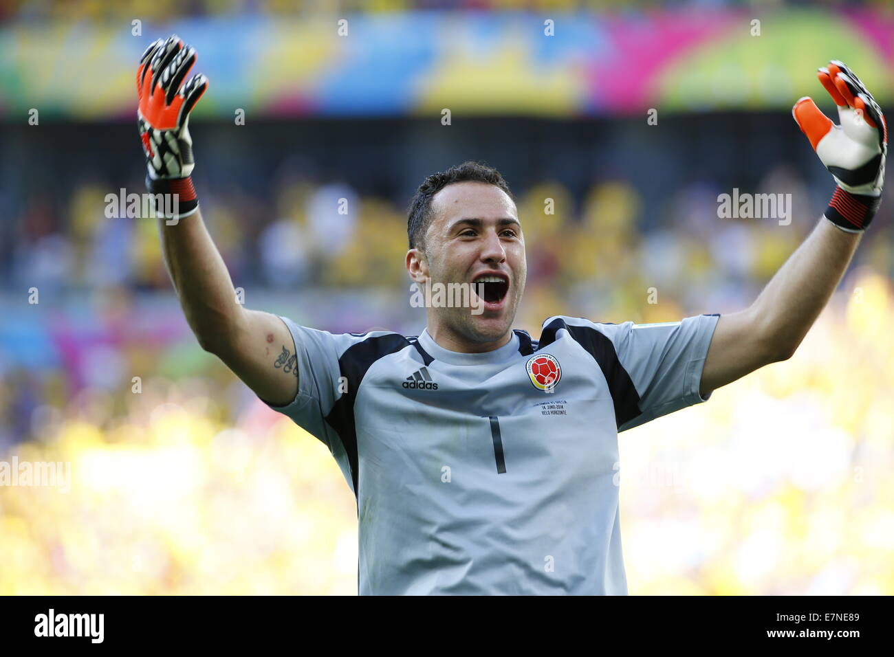 David Ospina. Kolumbien V Griechenland, Gruppenspiel. FIFA World Cup 2104 Brasilien. Mineirão Stadion, Belo Horizonte. 14. Juni 2014. Stockfoto