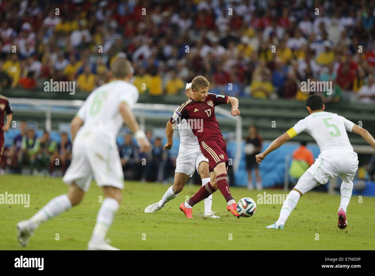 Oleg Shatov. Algerien gegen Russland. Gruppenspiel. FIFA World Cup 2014 Brasilien. Arena da Baixada Curitiba. 26. Juni 2014 Stockfoto