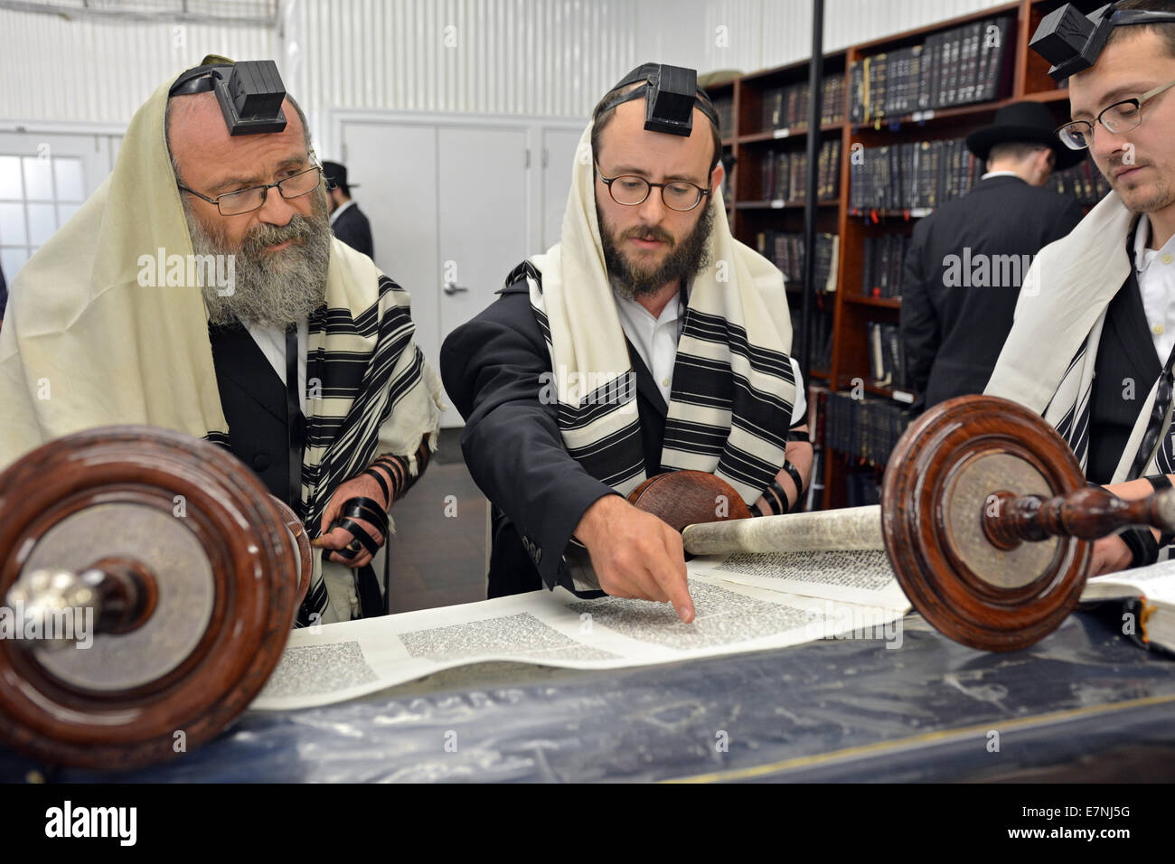 Thora lesen, während ein Morgengebet in der Synagoge Ohel in Queens, New York Stockfoto