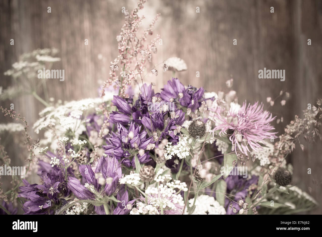 Schöne zarte Blumenstrauß Sommer Wiese auf hölzernen Hintergrund. Florale Komposition im ländlichen Vintage-Stil Stockfoto