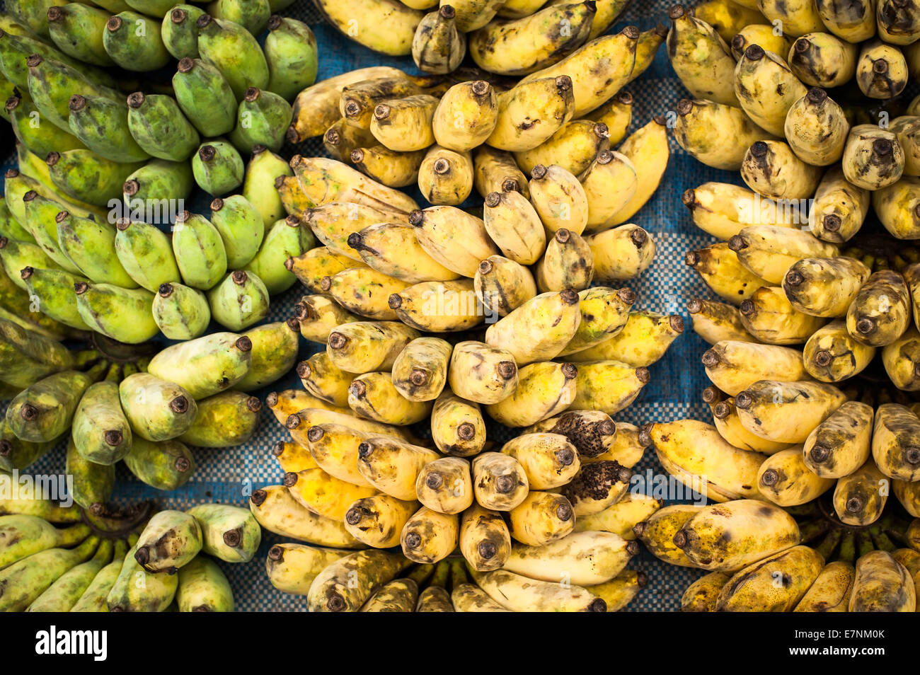 Tropische Früchte natürlichen Hintergrund. Frische Bananen am Marktplatz im freien Stockfoto