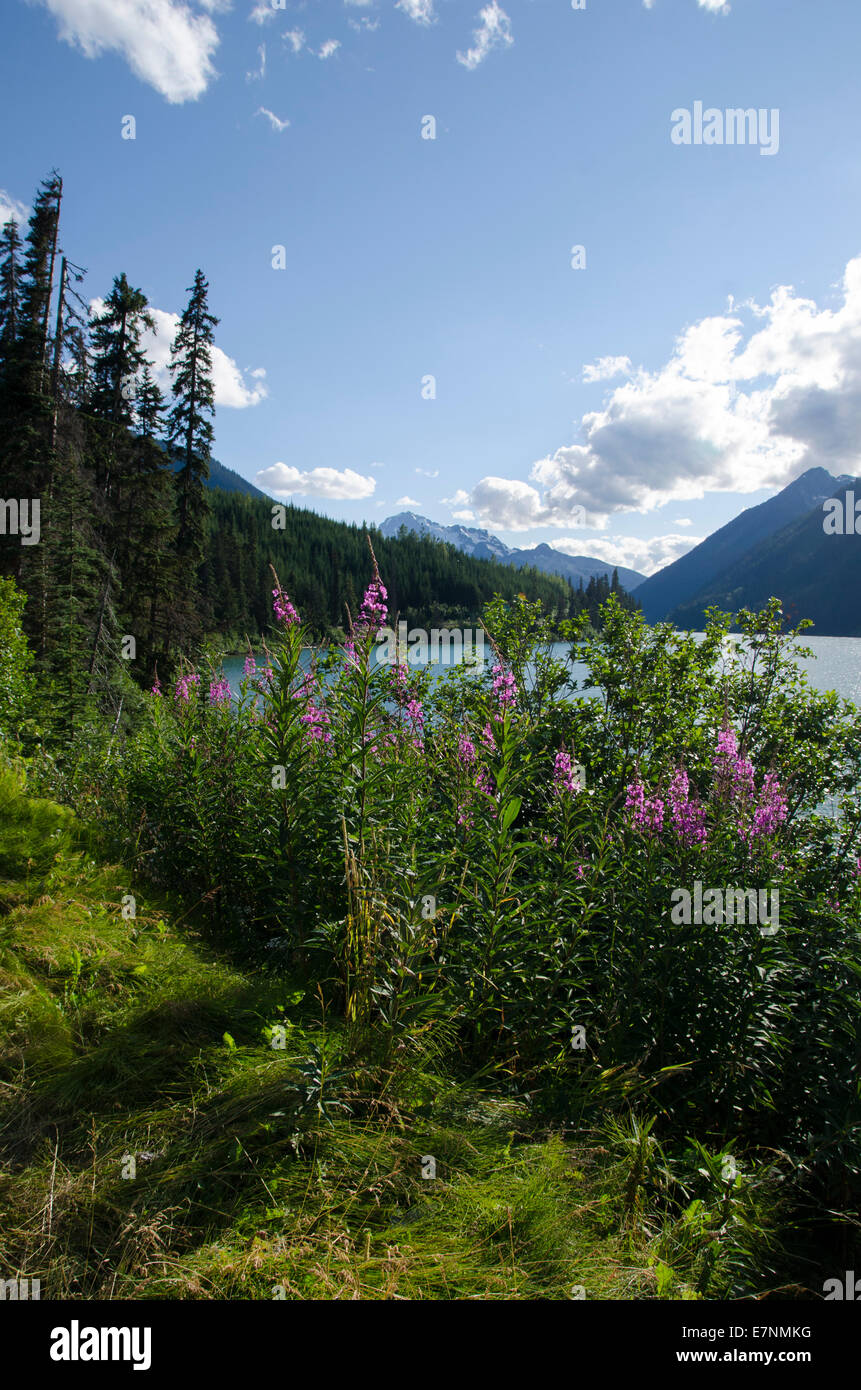 See, Rocky Mountains, British Columbia, Kanada Stockfoto