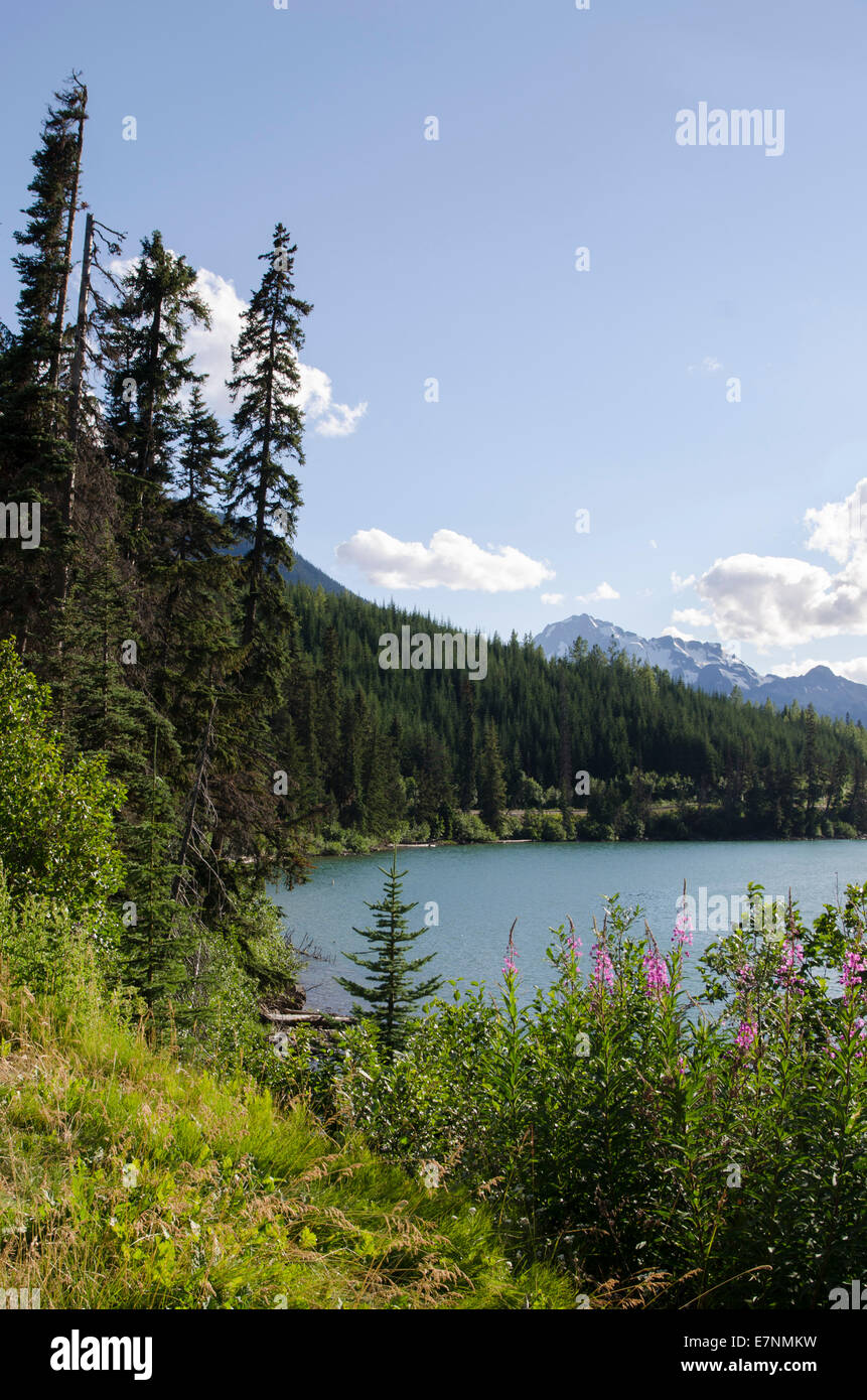 See, Rocky Mountains, British Columbia, Kanada Stockfoto