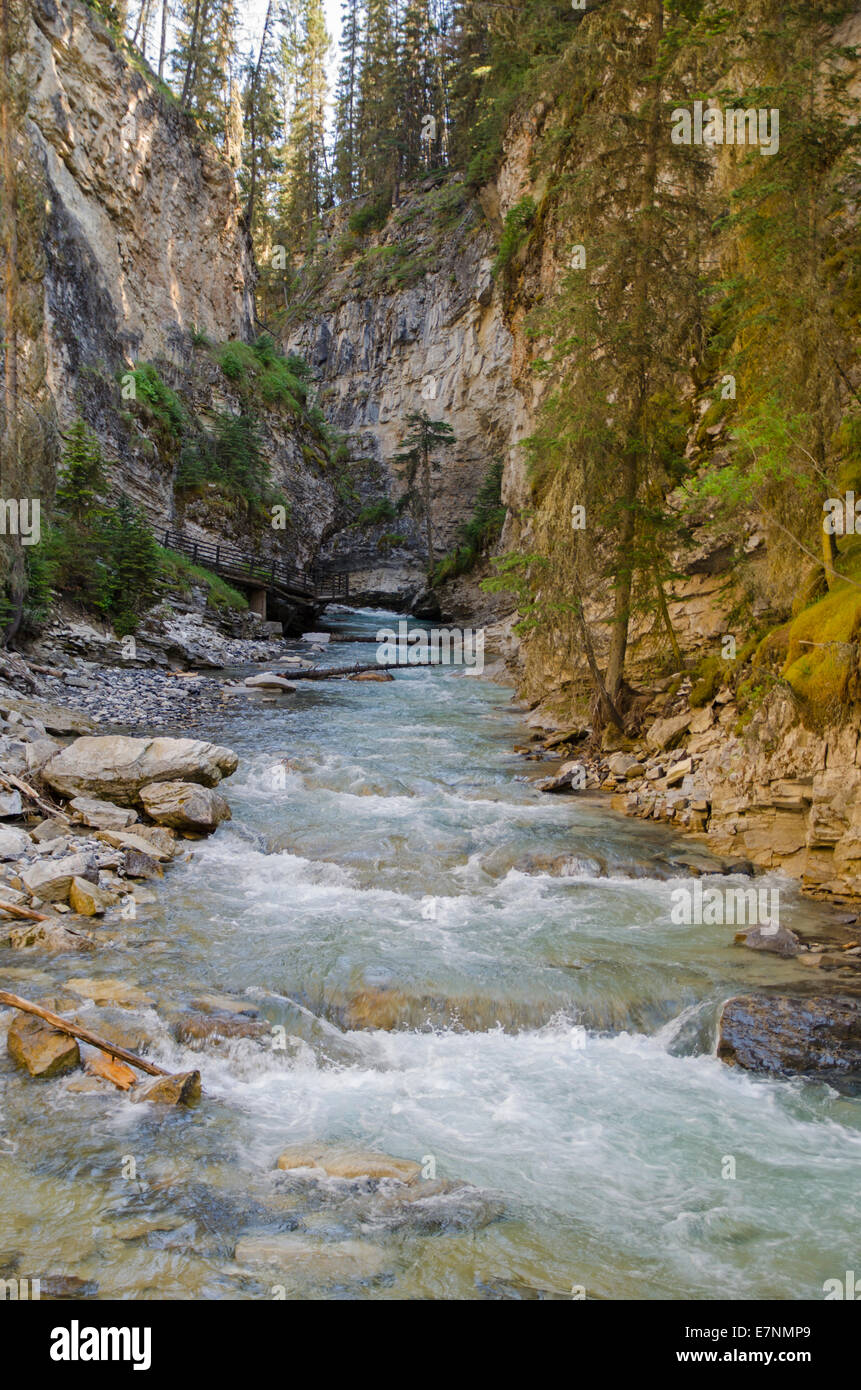 Wasserfall entlang der Johnston Creek Trail, Alberta, Kanada Stockfoto