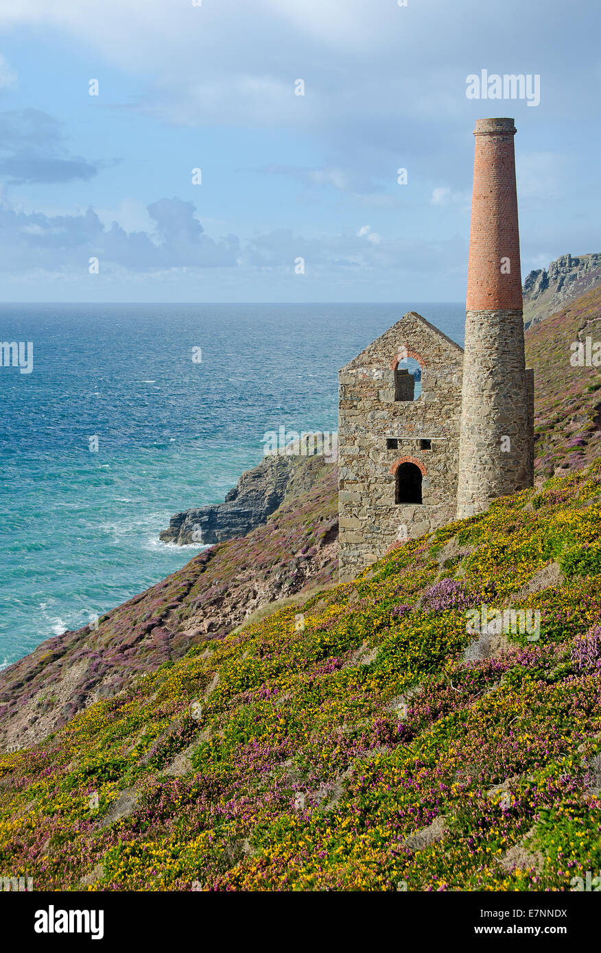 Das verfallene Towanroath Pumpen Maschinenhaus bei Wheal Coates zwischen St. Agnes und Porthtowan in North Cornwall. Stockfoto