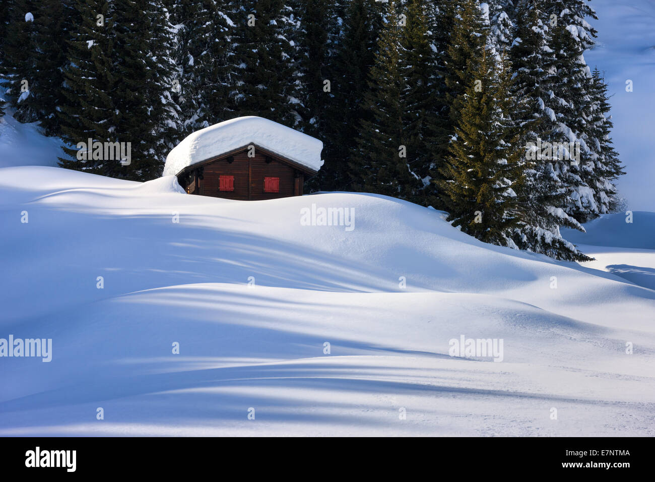 San Bernardino, Schweiz, Europa, Kanton Graubünden, Graubünden, Misox, Haus, Haus, Holz, Wald, Schnee, viel Schnee, Winter Stockfoto