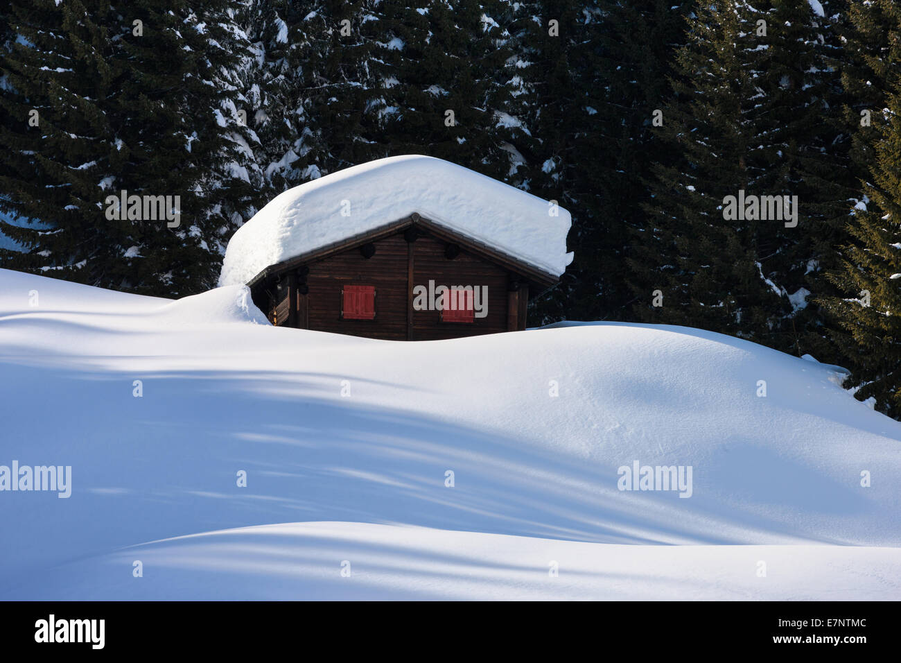 San Bernardino, Schweiz, Europa, Kanton Graubünden, Graubünden, Misox, Haus, Haus, Holz, Wald, Schnee, viel Schnee, Winter Stockfoto