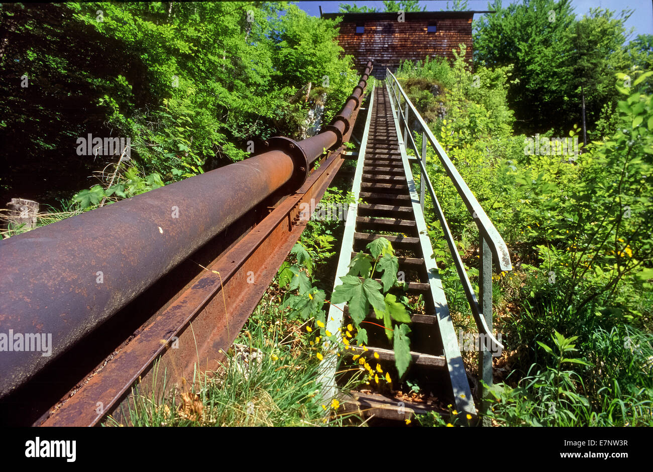 Deutschland, Bayern, Oberbayern, Baum, Bäume, Weg, Wanderweg, alleinige Geschäftsführung, Geländer, Zaun, Bad Reichenhall, Traunstein, Weiss Stockfoto