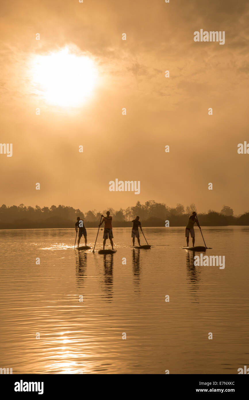 Seegräben, Paddeln, Pfäffikersee, Stand Up Paddling, See, Seen, Wassersport, Sport, Kanton Zürich, Sonnenaufgang, Schweiz, Euro Stockfoto