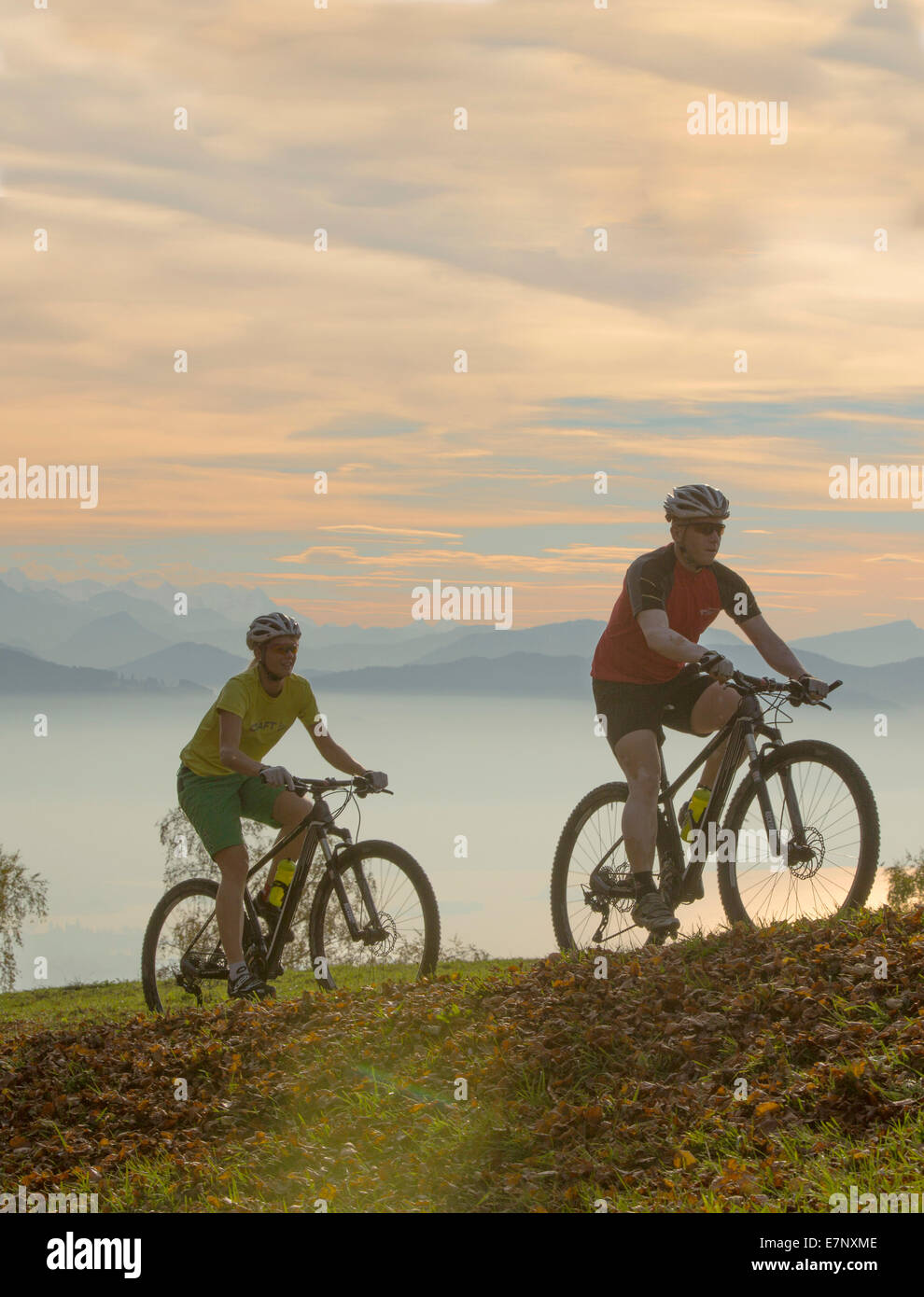 Mountainbiker, Bachtel, Zürichsee, Ansicht, Alpenkette, Kanton Zürich, Berg, Berge, Sport, Freizeit, Abenteuer, Moun Stockfoto