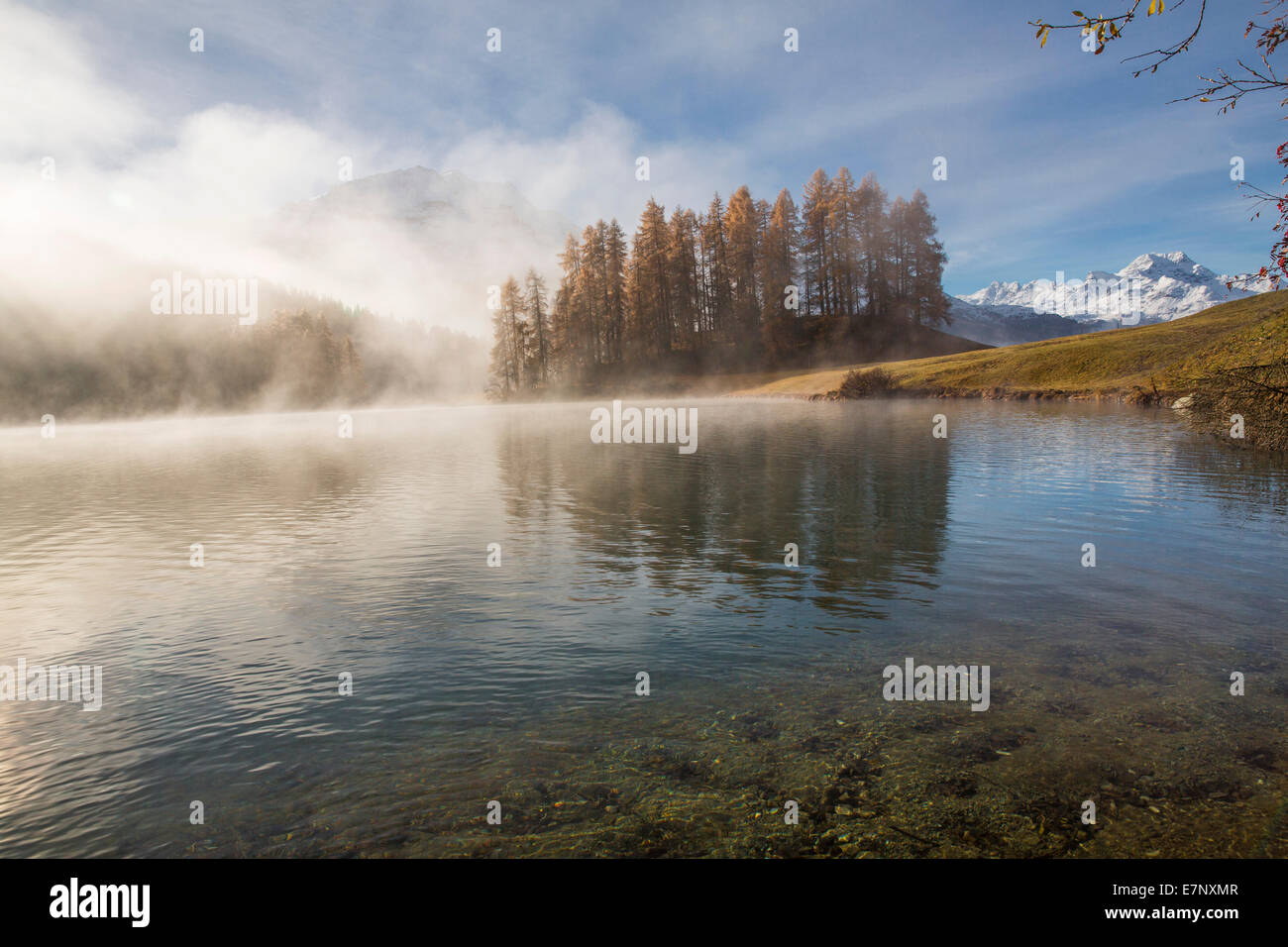 Engadin, Engadin, Champferersee, Morgennebel, Herbst, Holz, Wald, Kanton Graubünden, Graubünden, Unterengadin, GR, untere Engadi Stockfoto