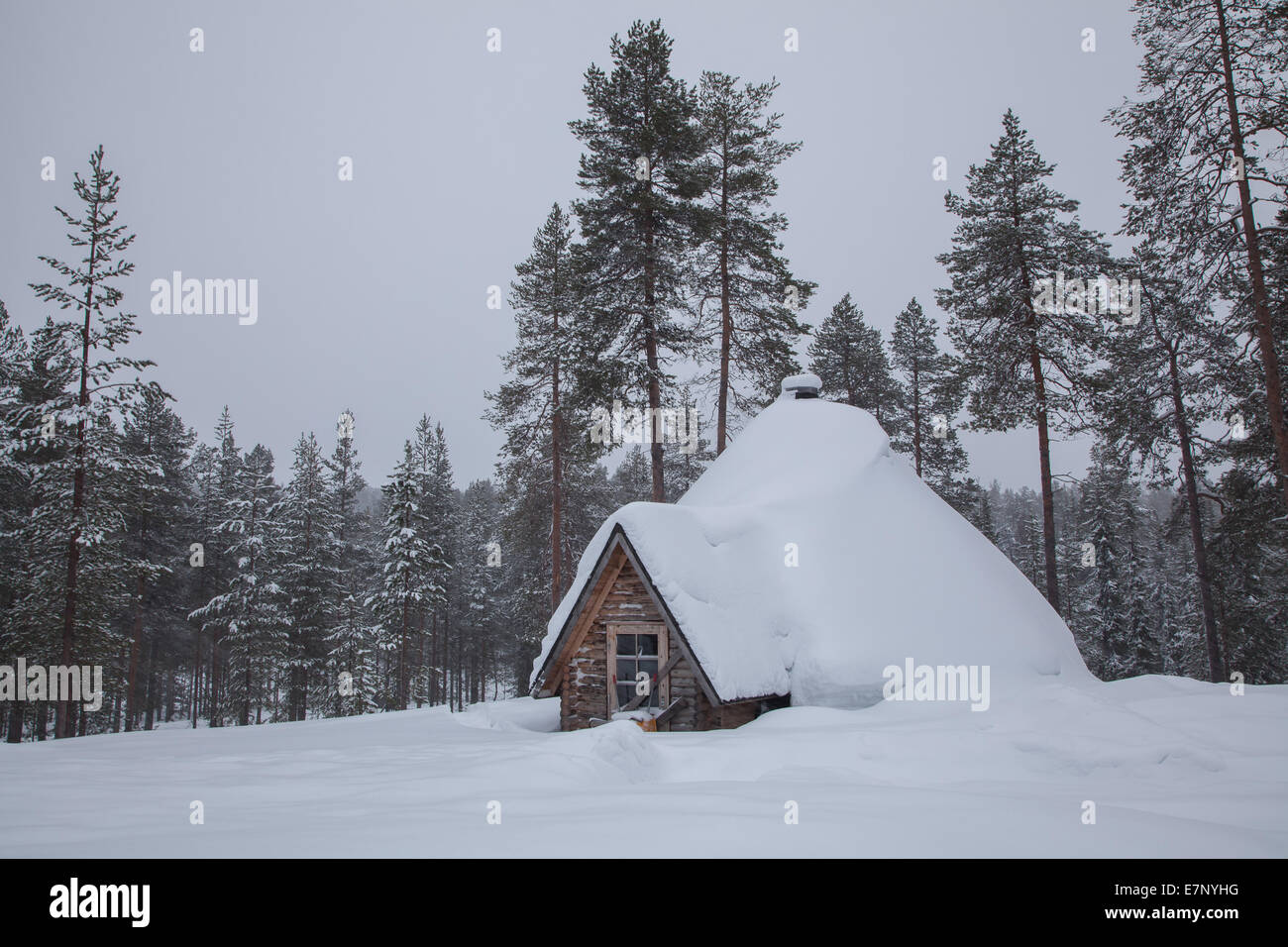 Bäume, Europa, Finnland, Haus, Haus, Landschaft, Landschaft, Lappland, Schnee, Winter, weiß Akäslompolo Stockfoto