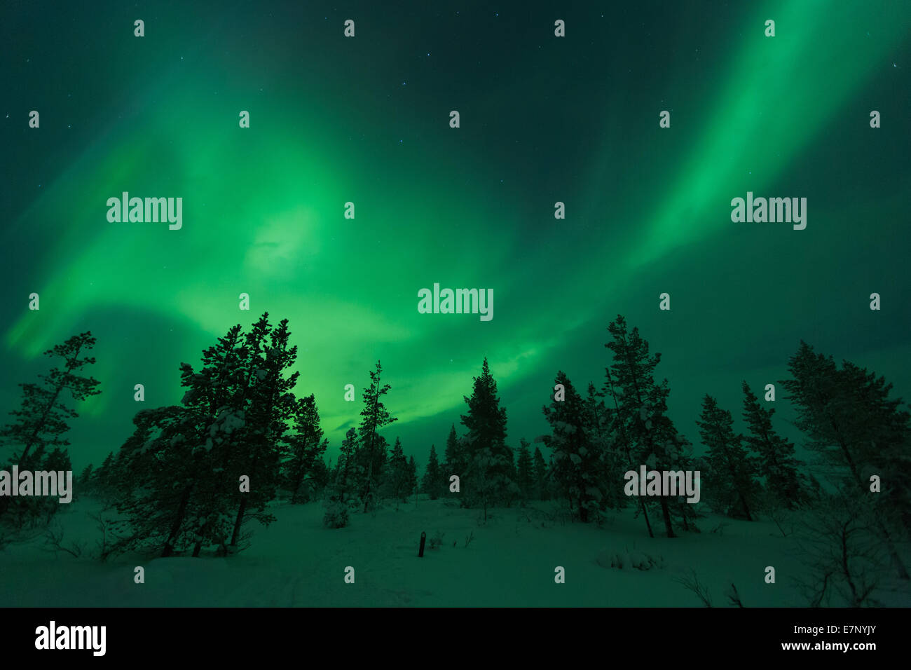 Aurora Borealis, Europa, Finnland, Himmel, Himmel, Kiilopää, Landschaft, Landschaft, Lappland, Lichtstimmung, Nacht, Nordlicht, polar l Stockfoto