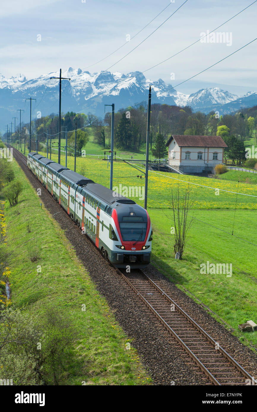 Rheintal, Bahn, SBB, Rheintal, SG, Kanton St. Gallen, Frühling, Eisenbahn, Zug, Eisenbahn, Berg, Berge, Schweiz Stockfoto