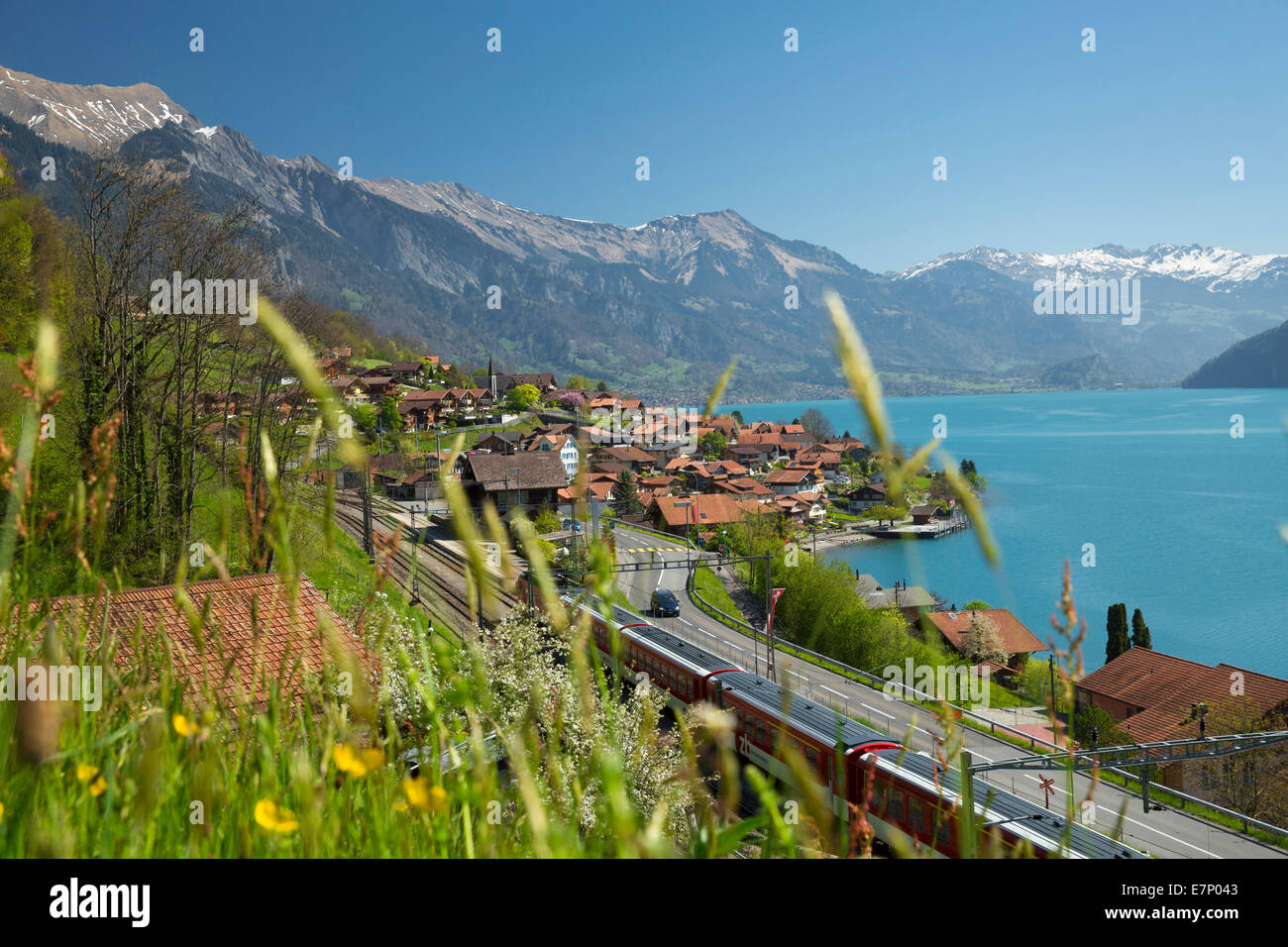 Brienzersee, Oberried, Brienzersee, Frühling, Kanton Bern, See, Seen