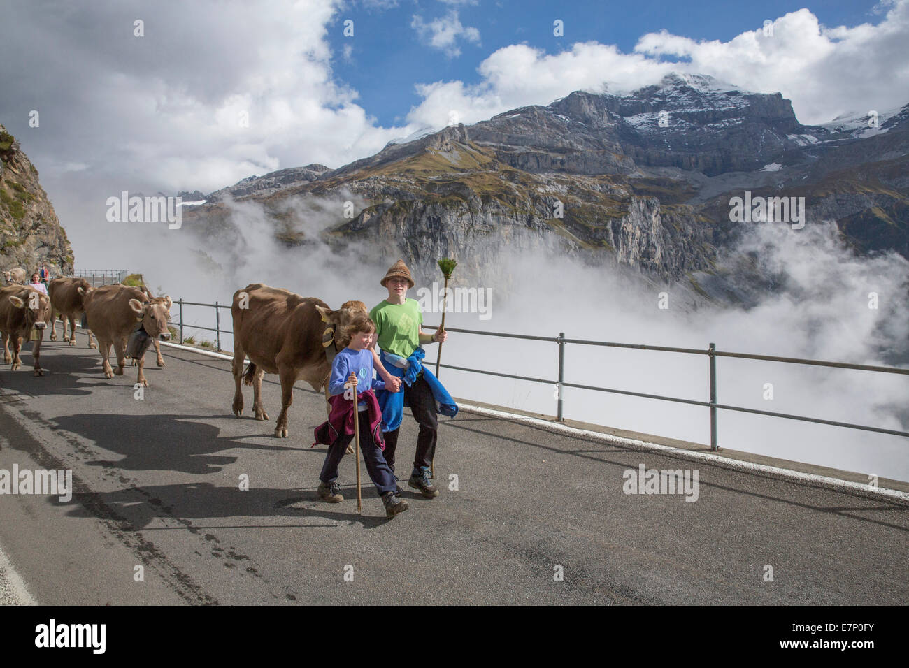 Klausenpass, UR, Alpen, Wolken, Wolke, Berg, Berge, Herbst, Kuh, Kühe, Landwirtschaft, Schweiz, Europa, Stockfoto