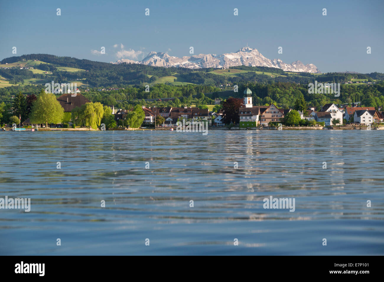 Lake Constance, Steinach AG, Säntis, Dorf, See, Seen, SG, Kanton St. Gallen, Schweiz, Europa, Stockfoto