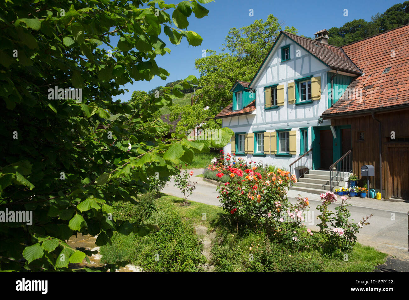 Häuser, Wohnungen, Thal SG, Kanton St. Gallen, Staad, Altenrhein, Schweiz, Europa, Stockfoto